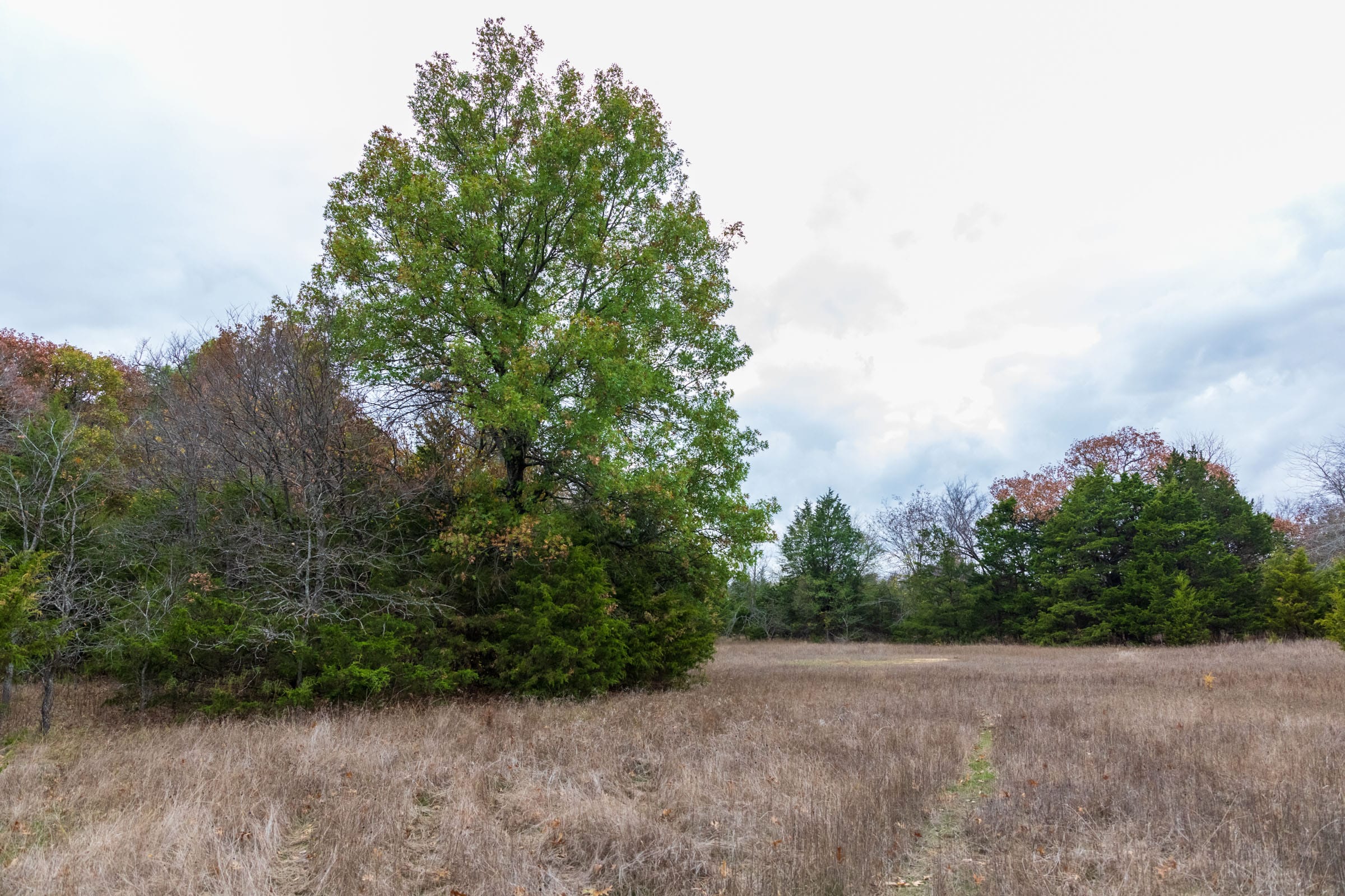 Crystal Springs Tract 2 photo 5