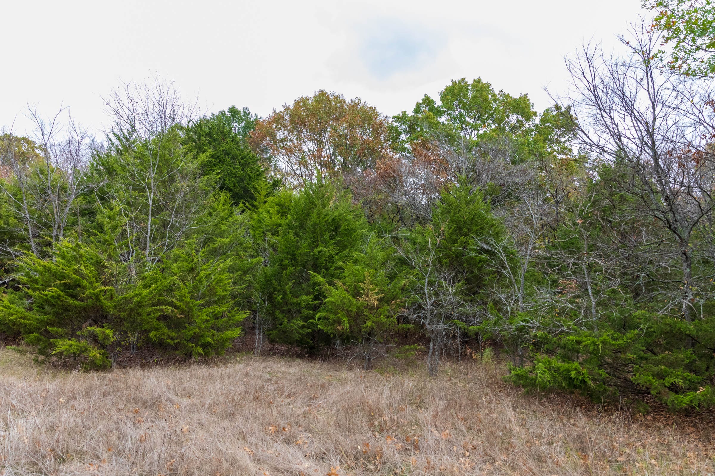 Crystal Springs Tract 2 photo 6