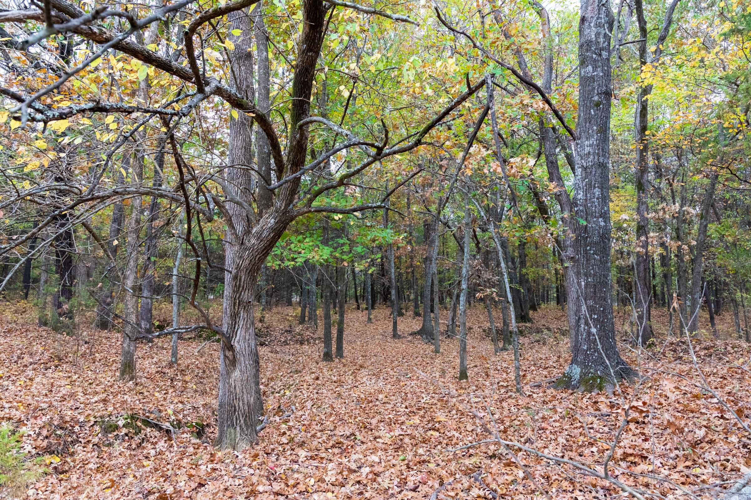 Crystal Springs Tract 2 photo 7