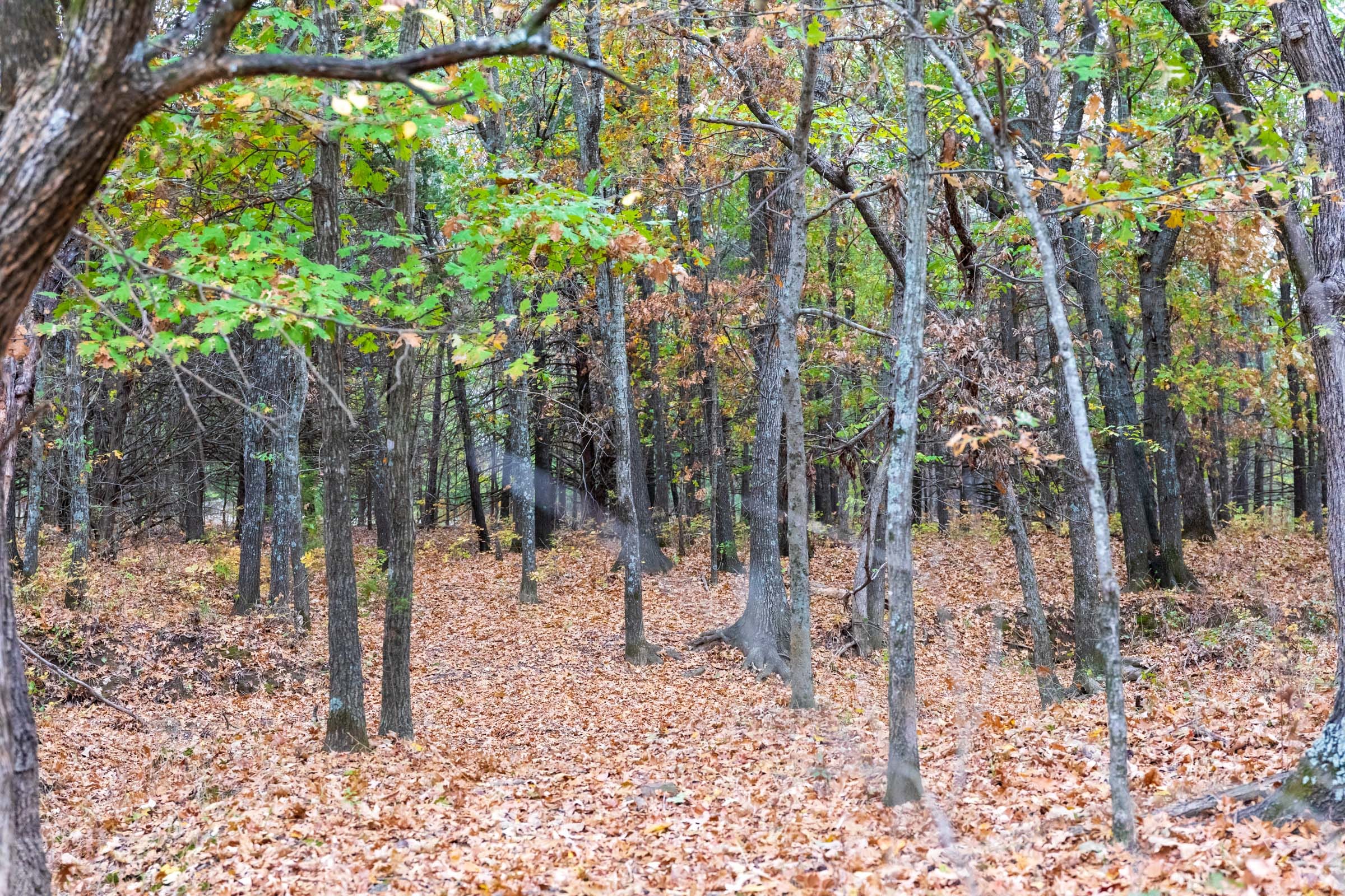 Crystal Springs Tract 2 photo 8