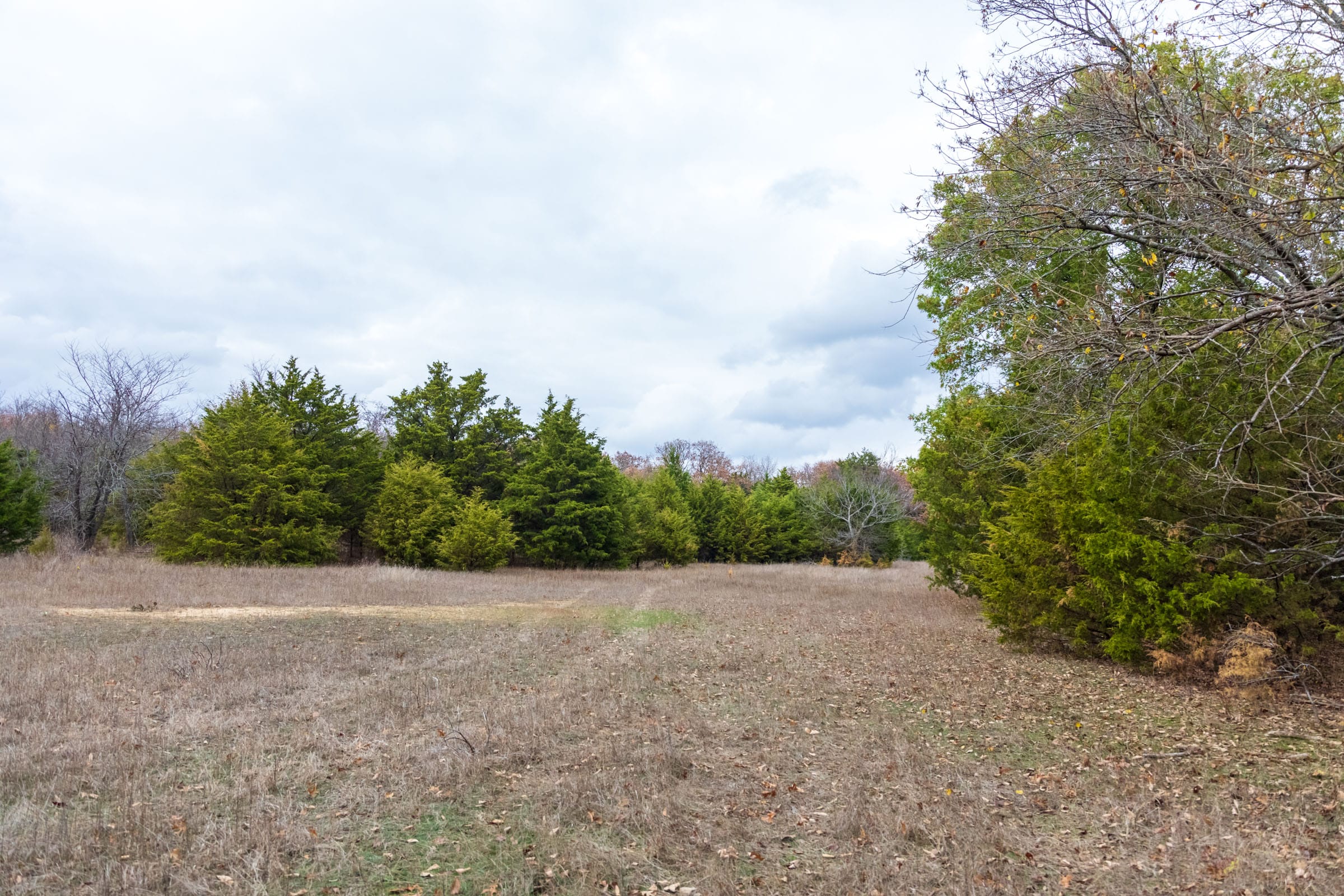 Crystal Springs Tract 2 photo 1