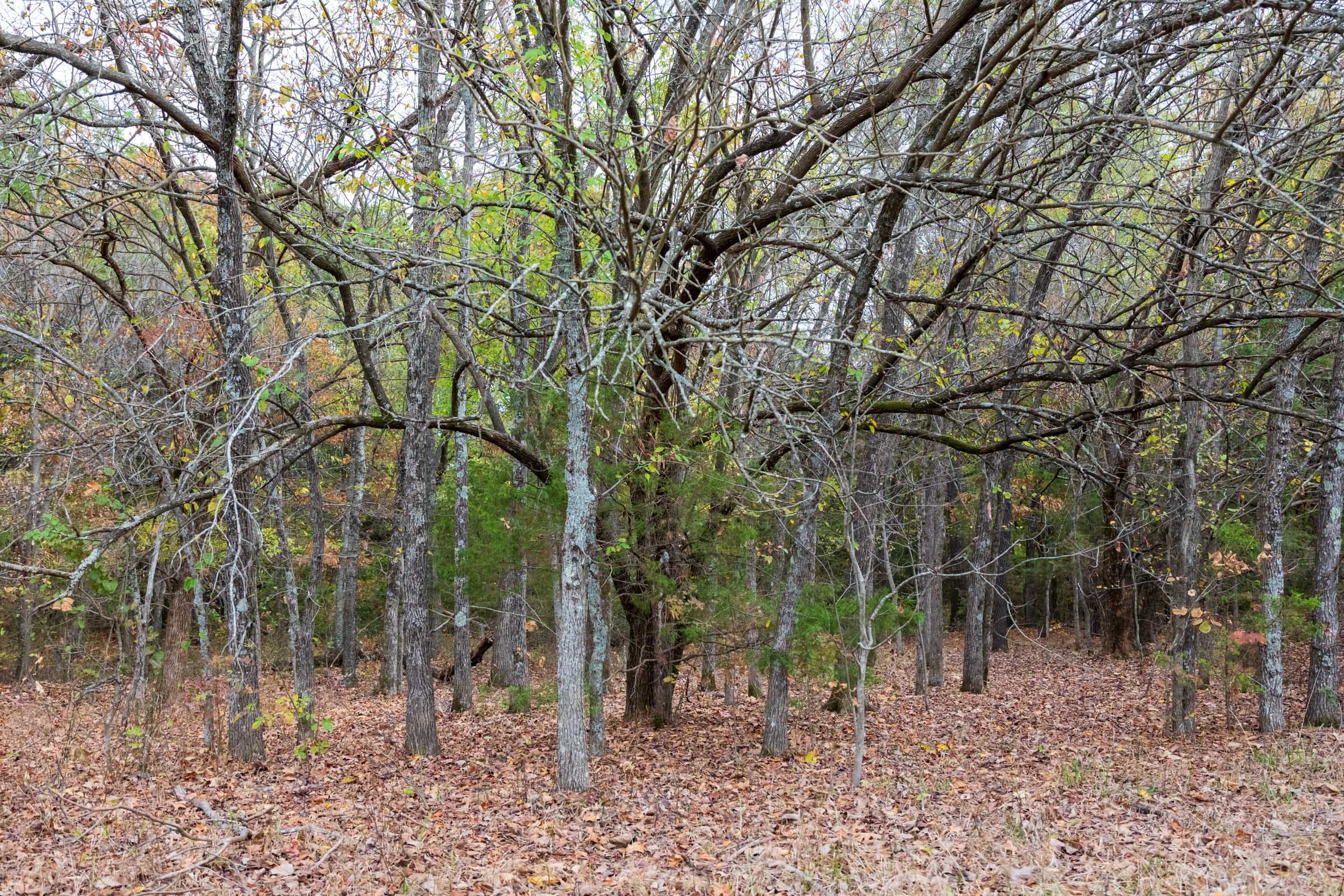 Crystal Springs Tract 2 photo 10