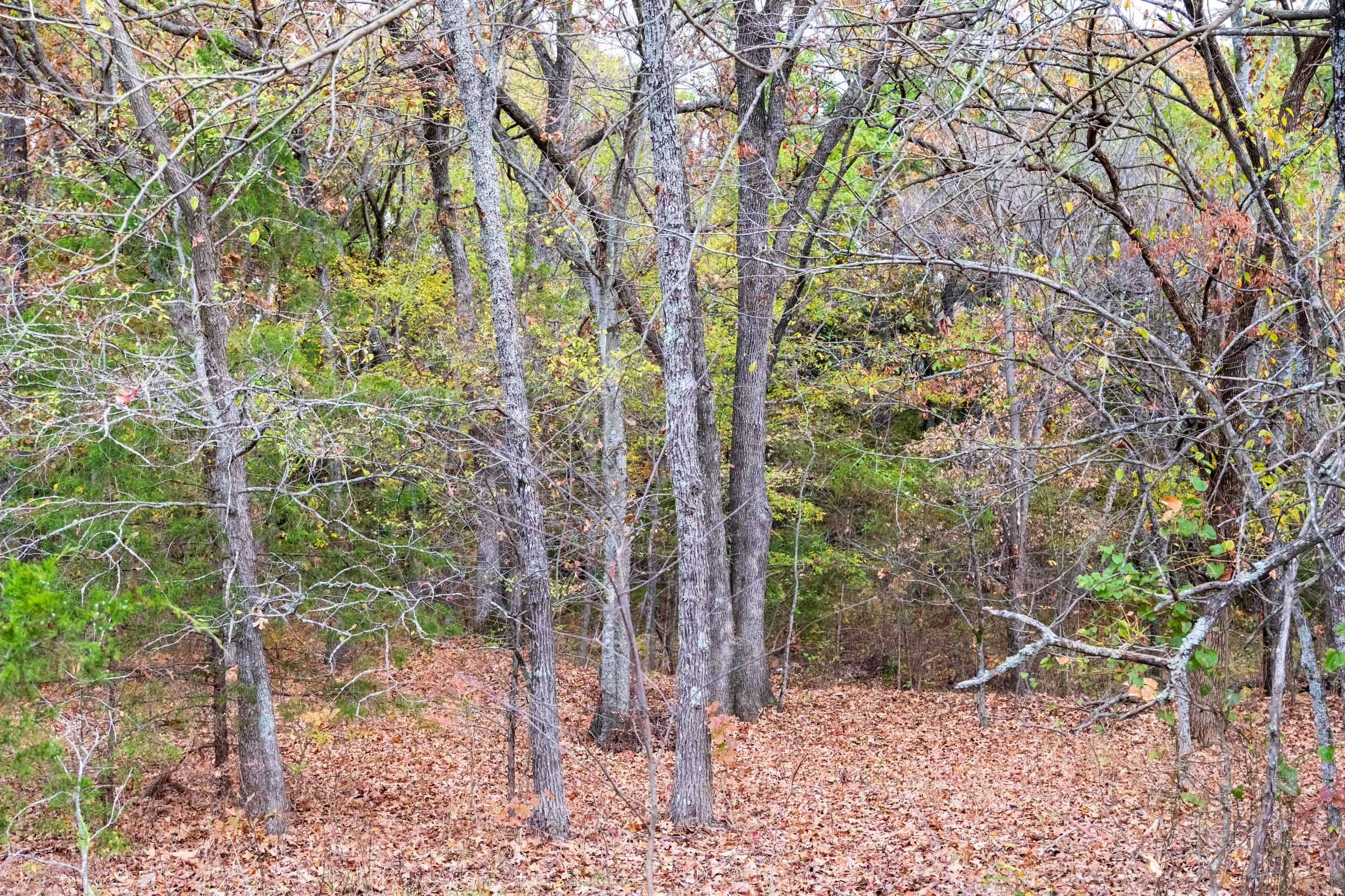 Crystal Springs Tract 2 photo 11