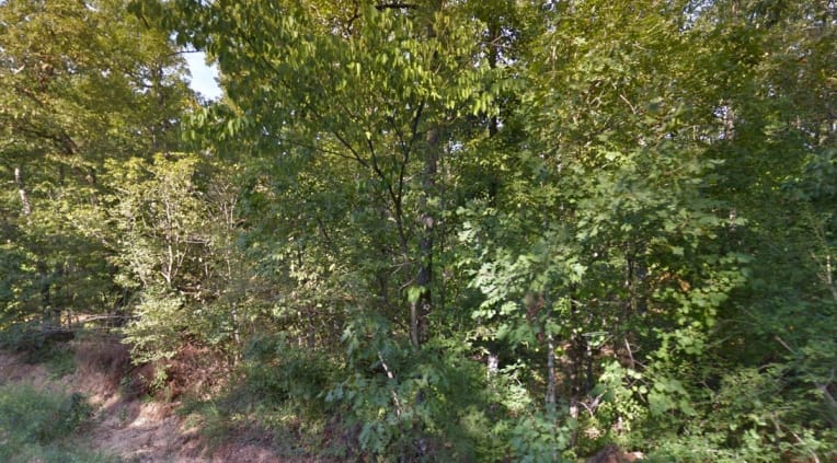 Ozark Acres Tract 1 photo 3