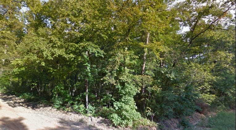 Ozark Acres Tract 1 photo 5