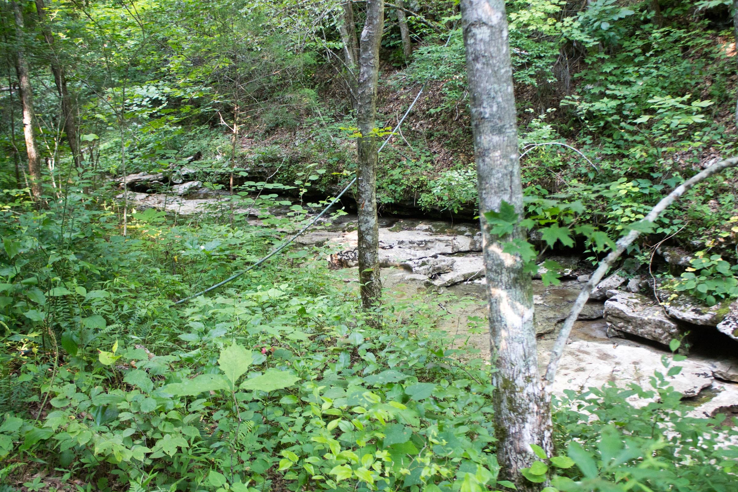 Buck Run Ridge Tract 1 photo 2