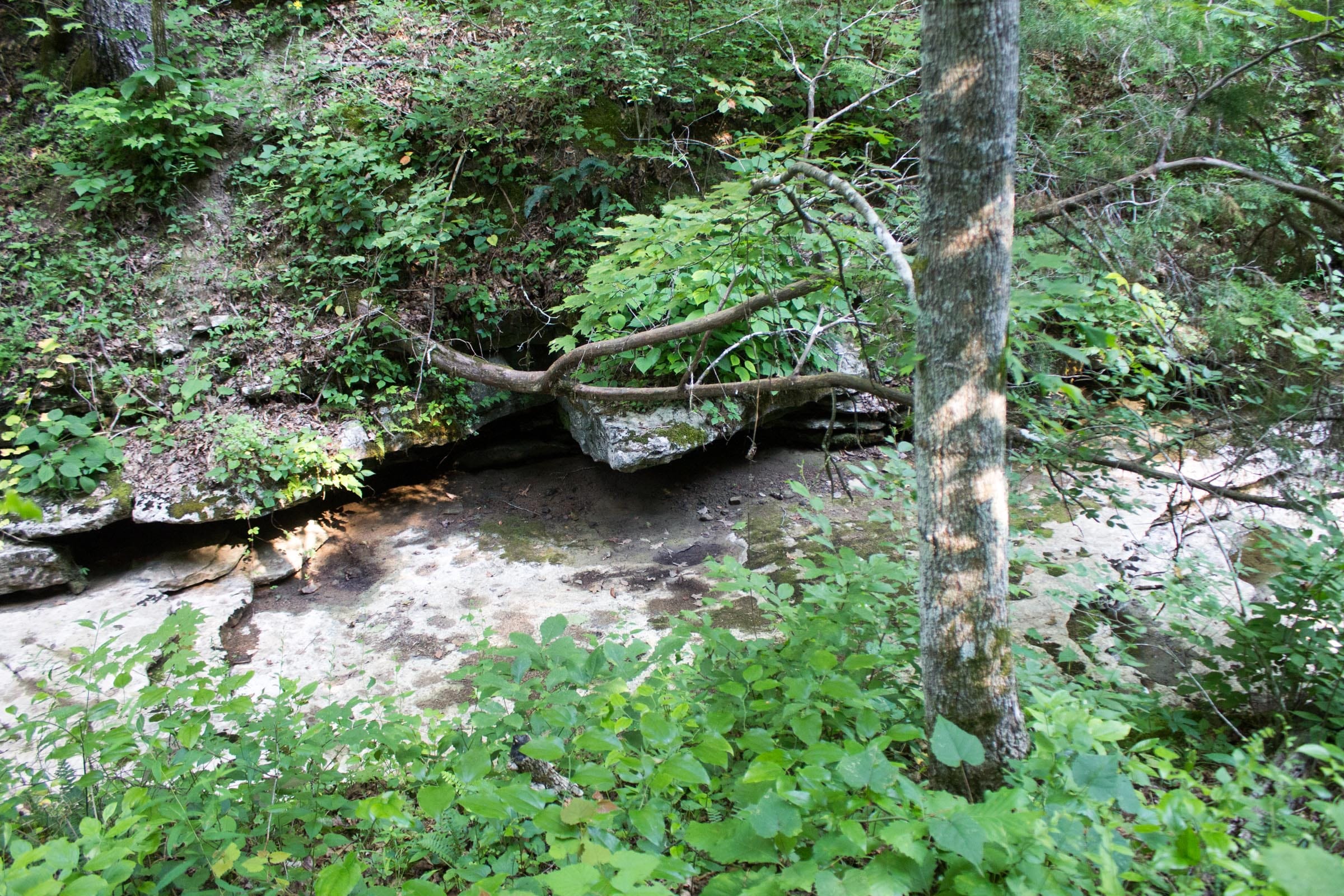 Buck Run Ridge Tract 1 photo 3