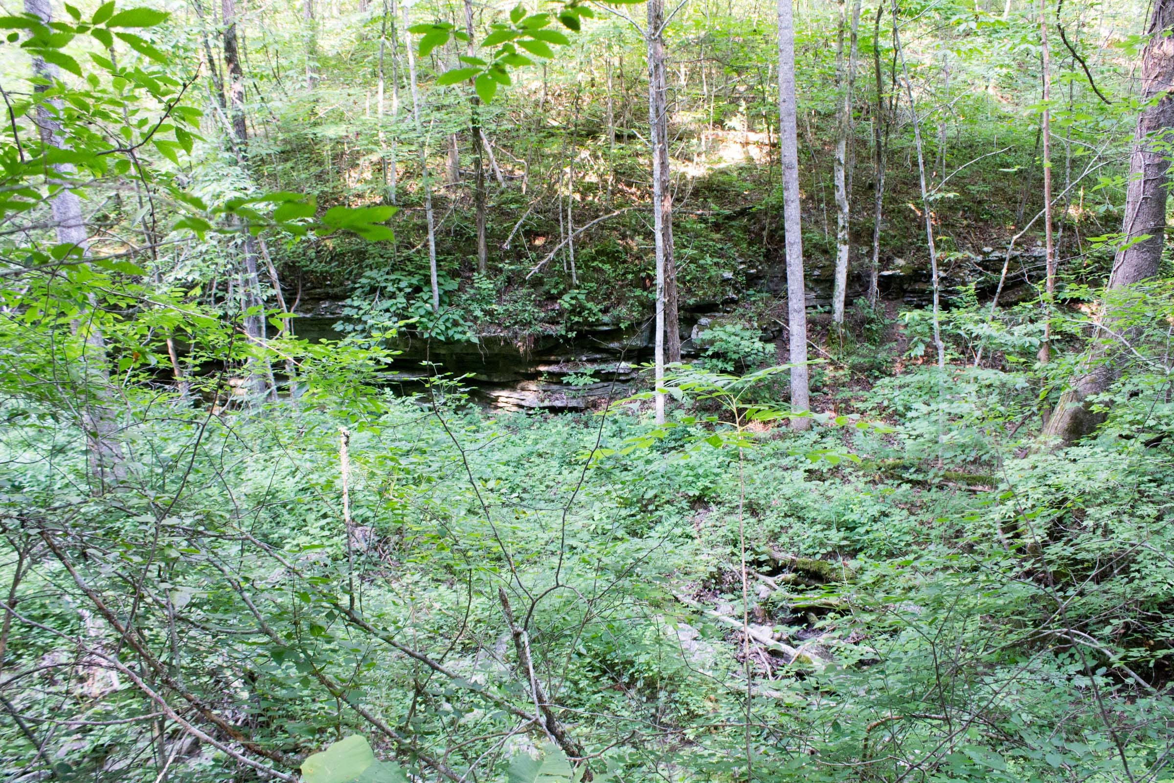 Buck Run Ridge Tract 1 photo 4
