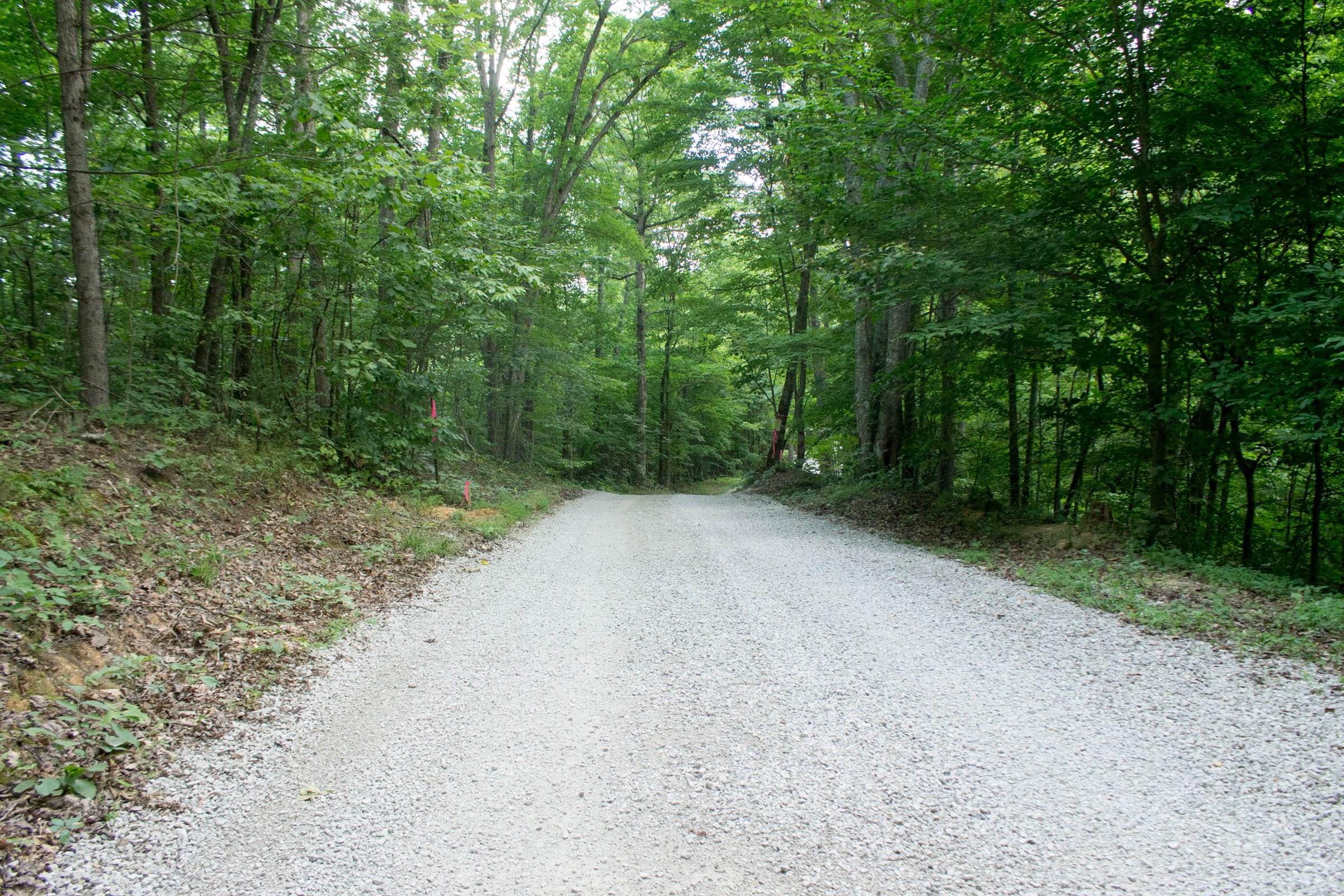 Buck Run Ridge Tract 1 photo 1
