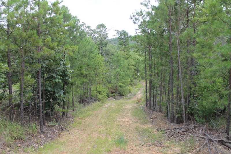 Trophy Ridge Phase III Tract 6 photo 1