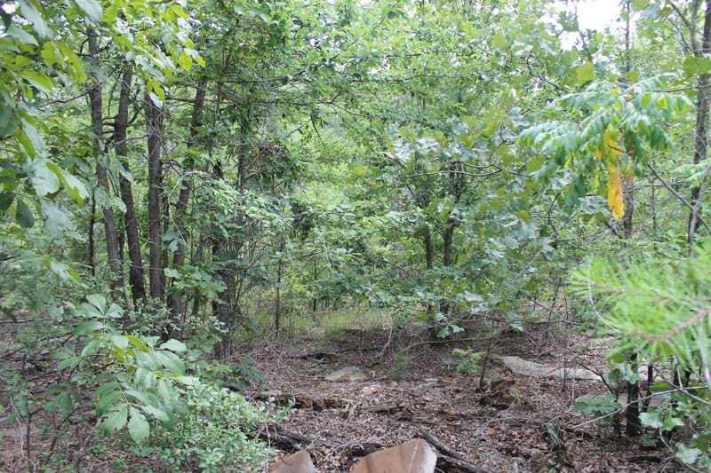Trophy Ridge Phase III Tract 6 photo 4