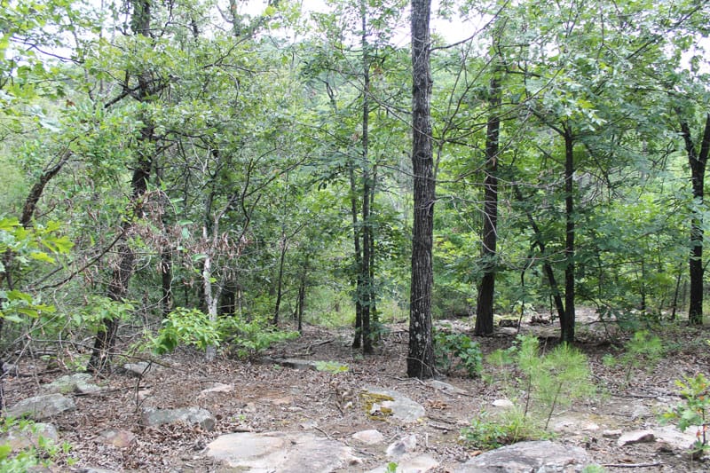 Trophy Ridge Phase III Tract 6 photo 6