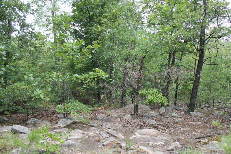 Trophy Ridge Phase III Tract 6 photo 8