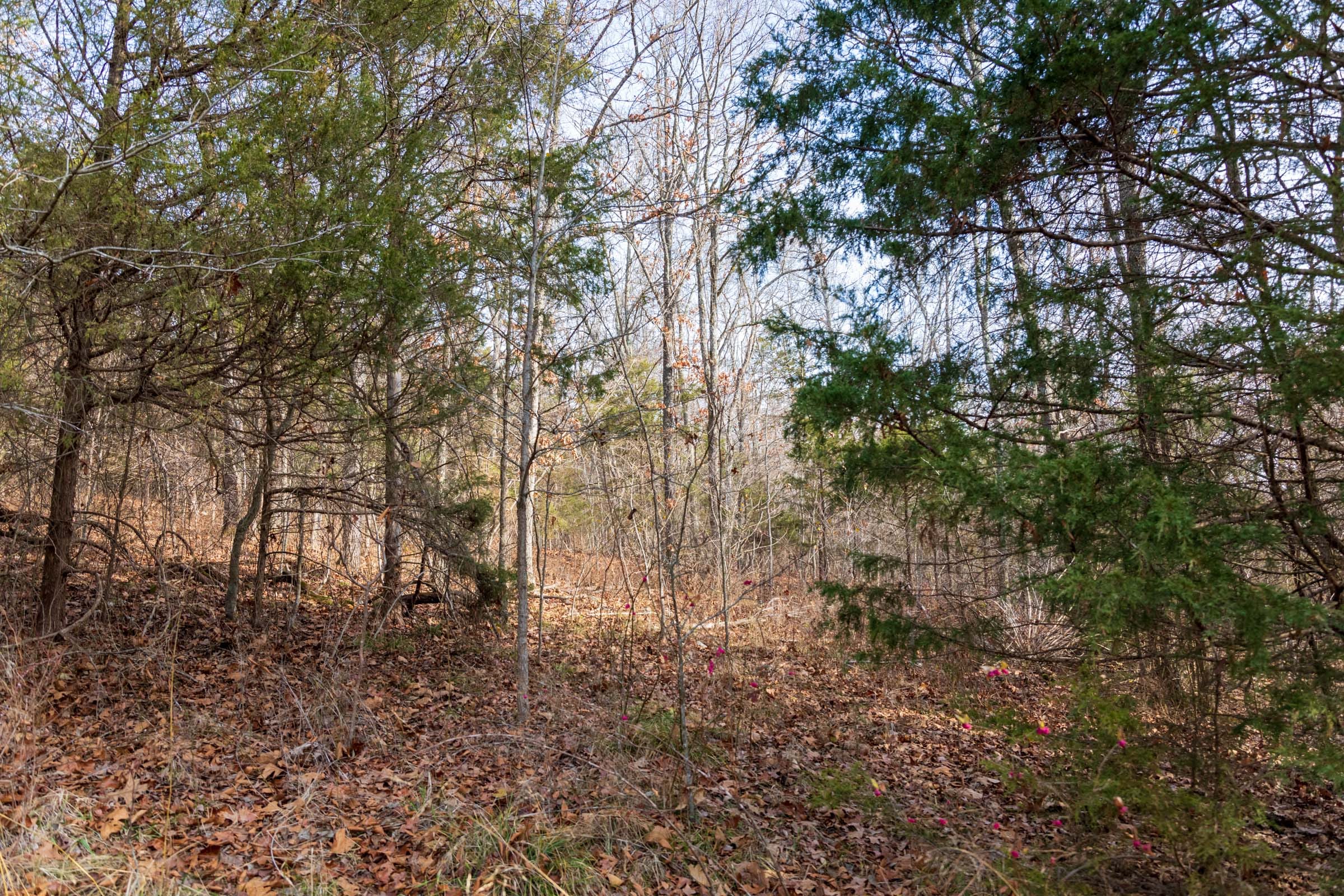 Crossroads Tract 14 photo 2