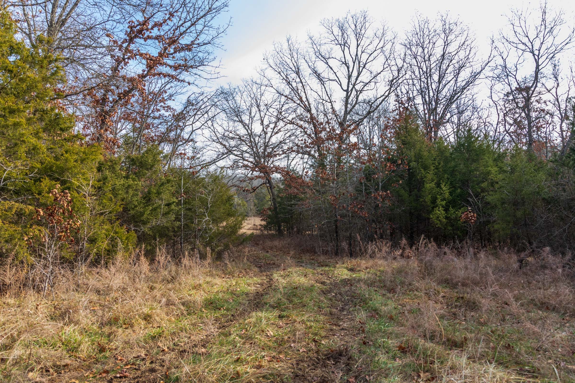 Crossroads Tract 14 photo 3