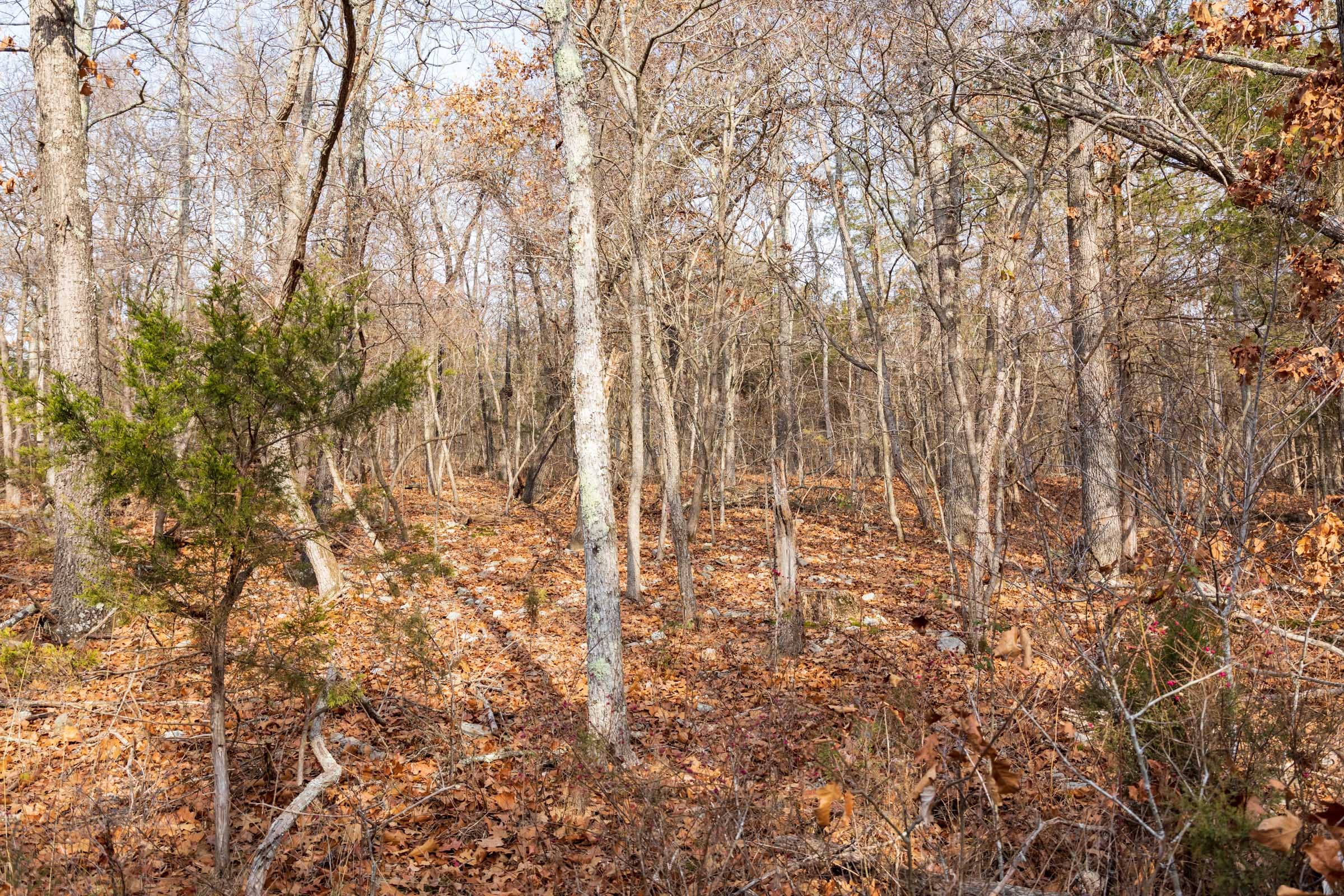 Crossroads Tract 14 photo 4