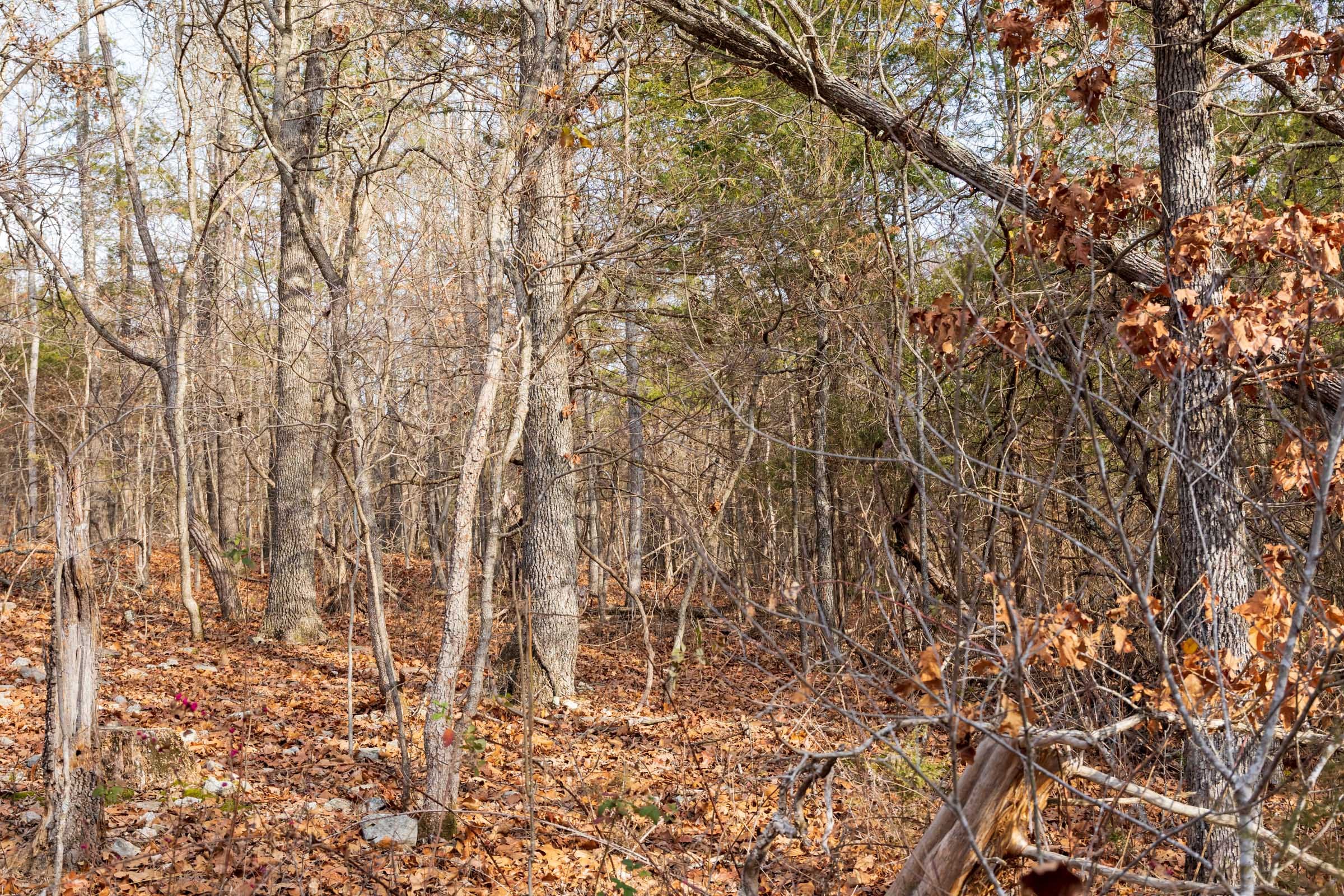Crossroads Tract 14 photo 5