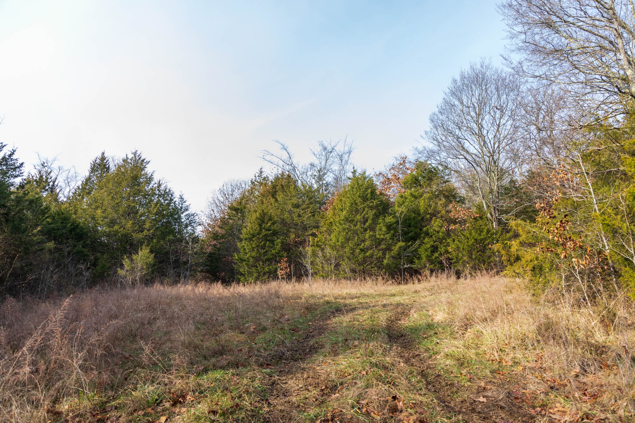 Crossroads Tract 14 photo 6