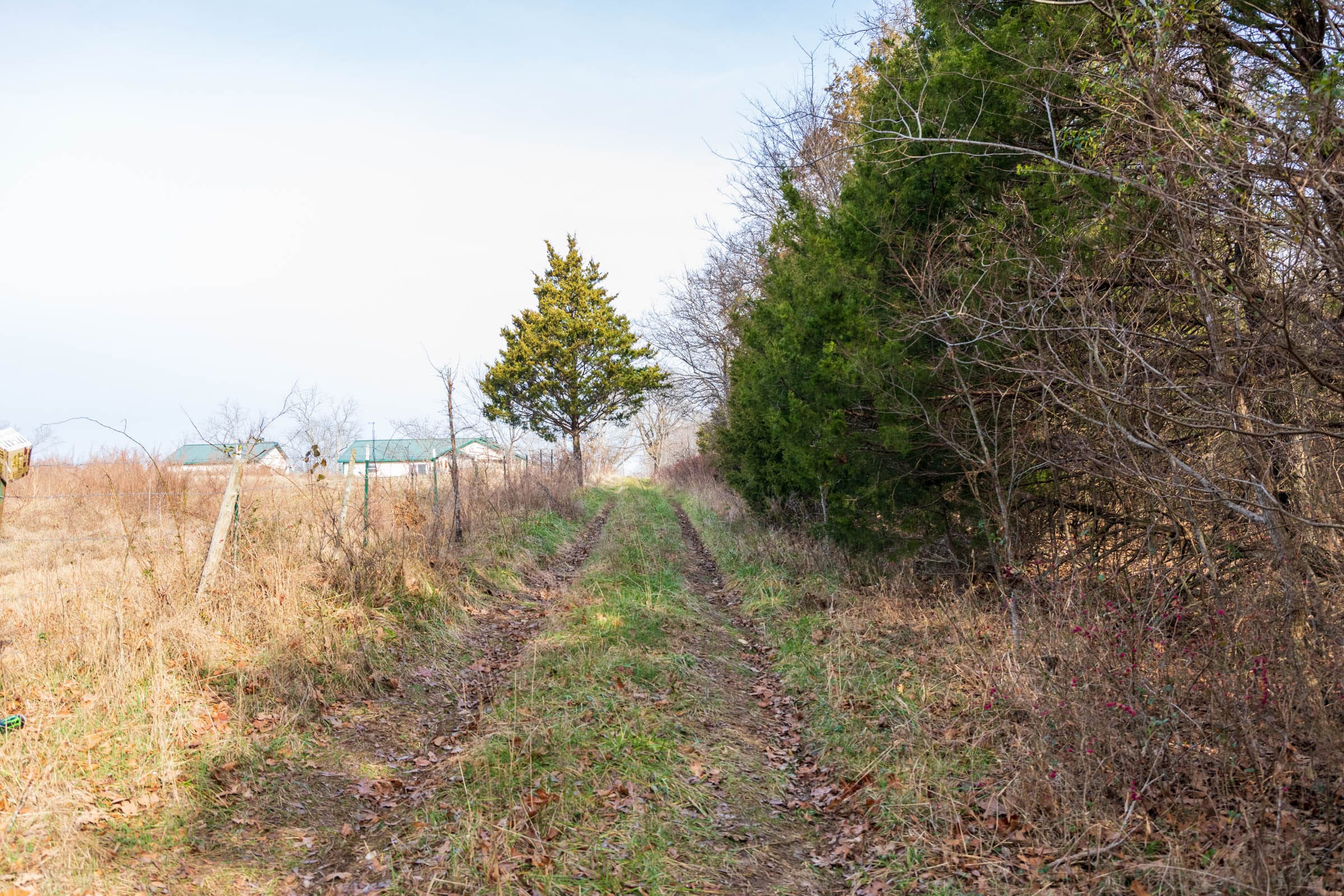 Crossroads Tract 14 photo 7