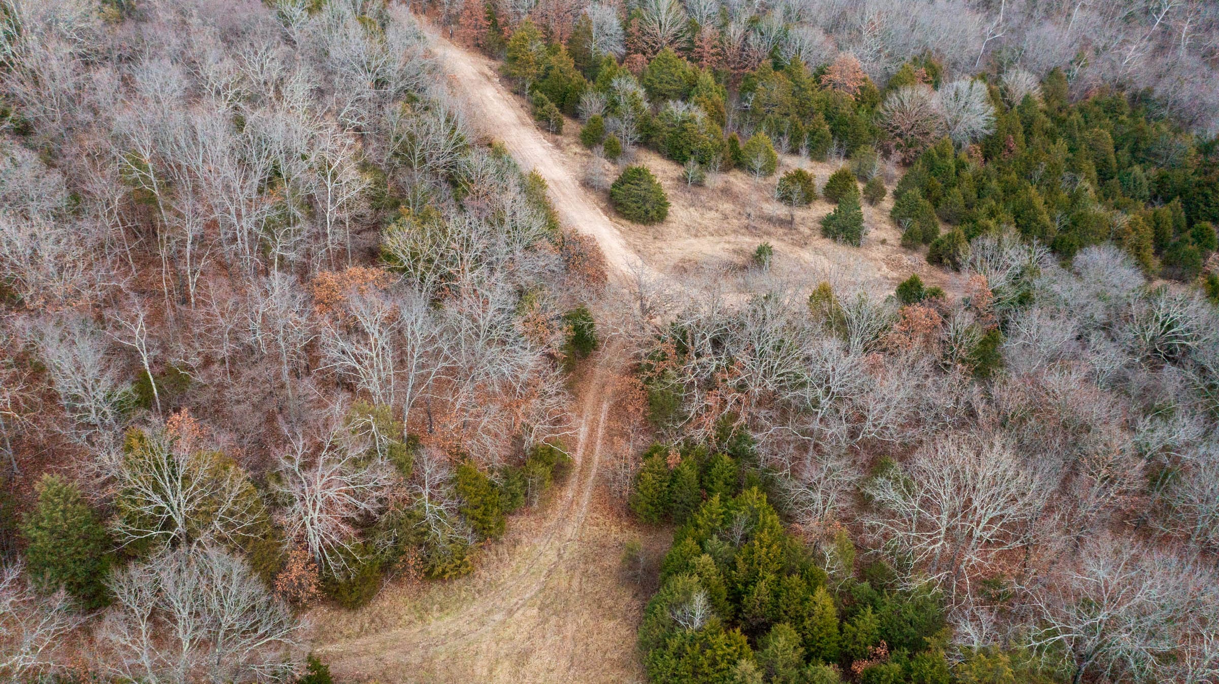 Crossroads Tract 14 photo 8