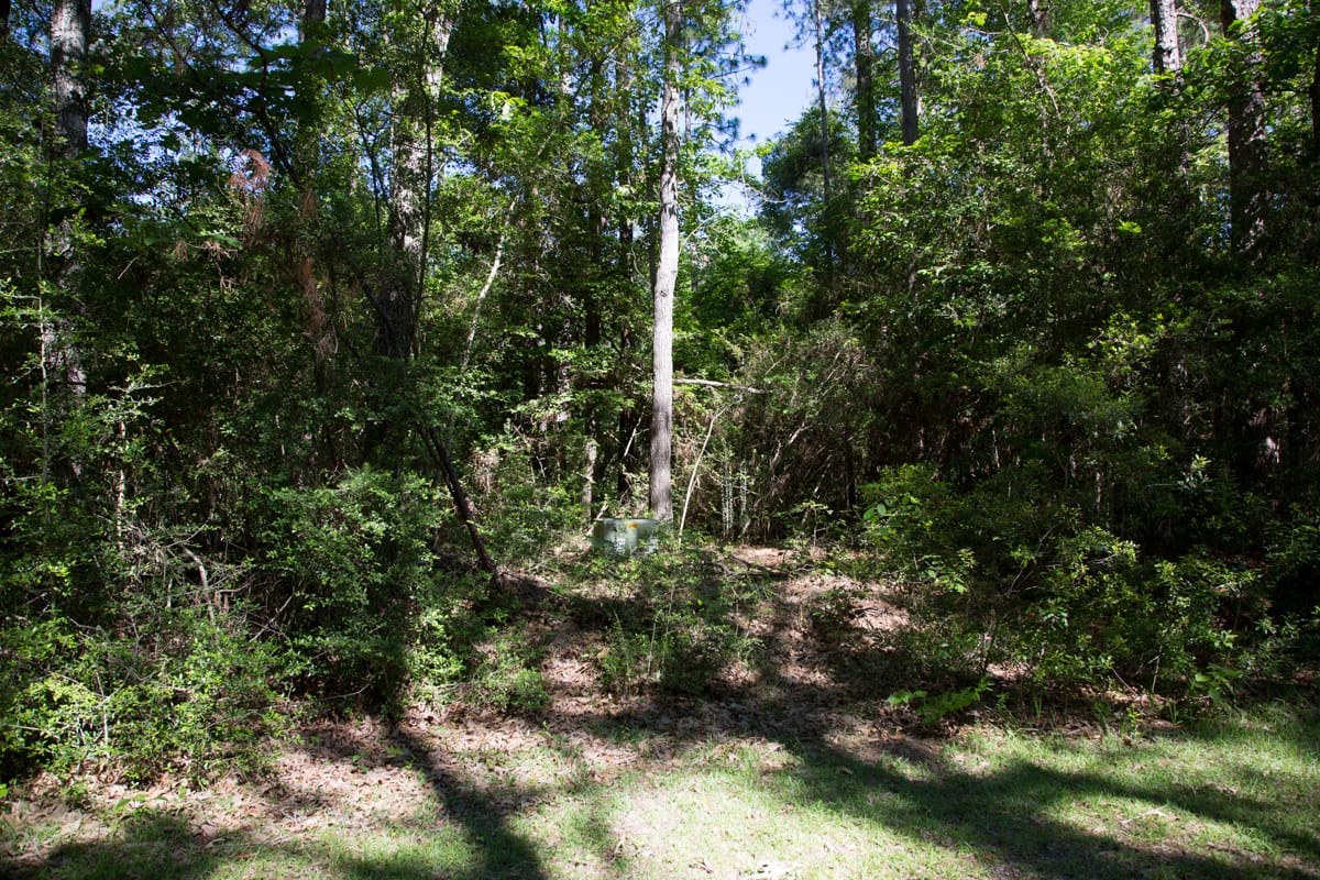 Rayburn Country Tract 167 photo 1