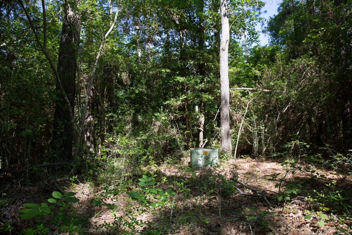 Rayburn Country Tract 167 photo 4