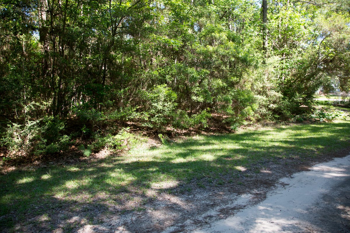 Rayburn Country Tract 167 photo 9