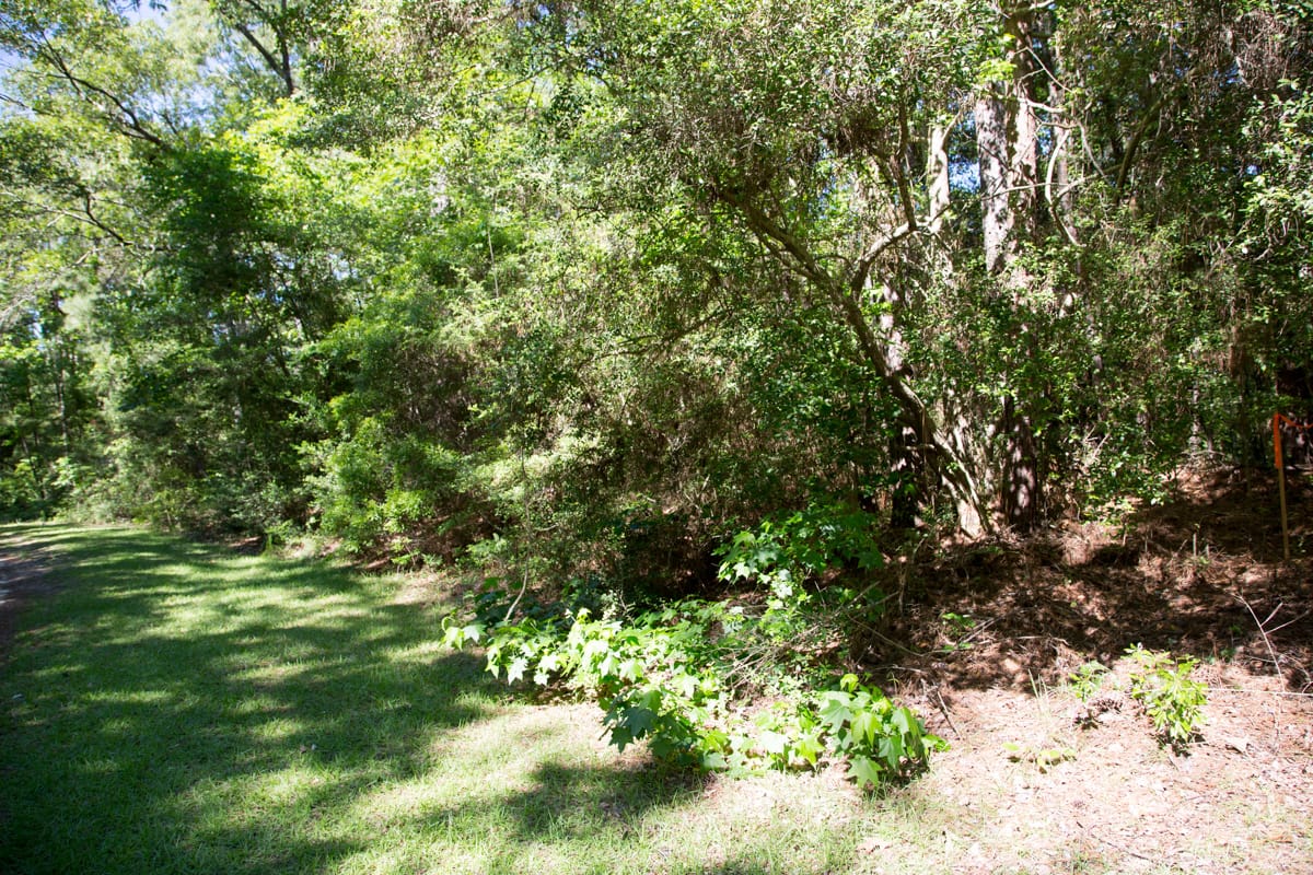 Rayburn Country Tract 167 photo 12