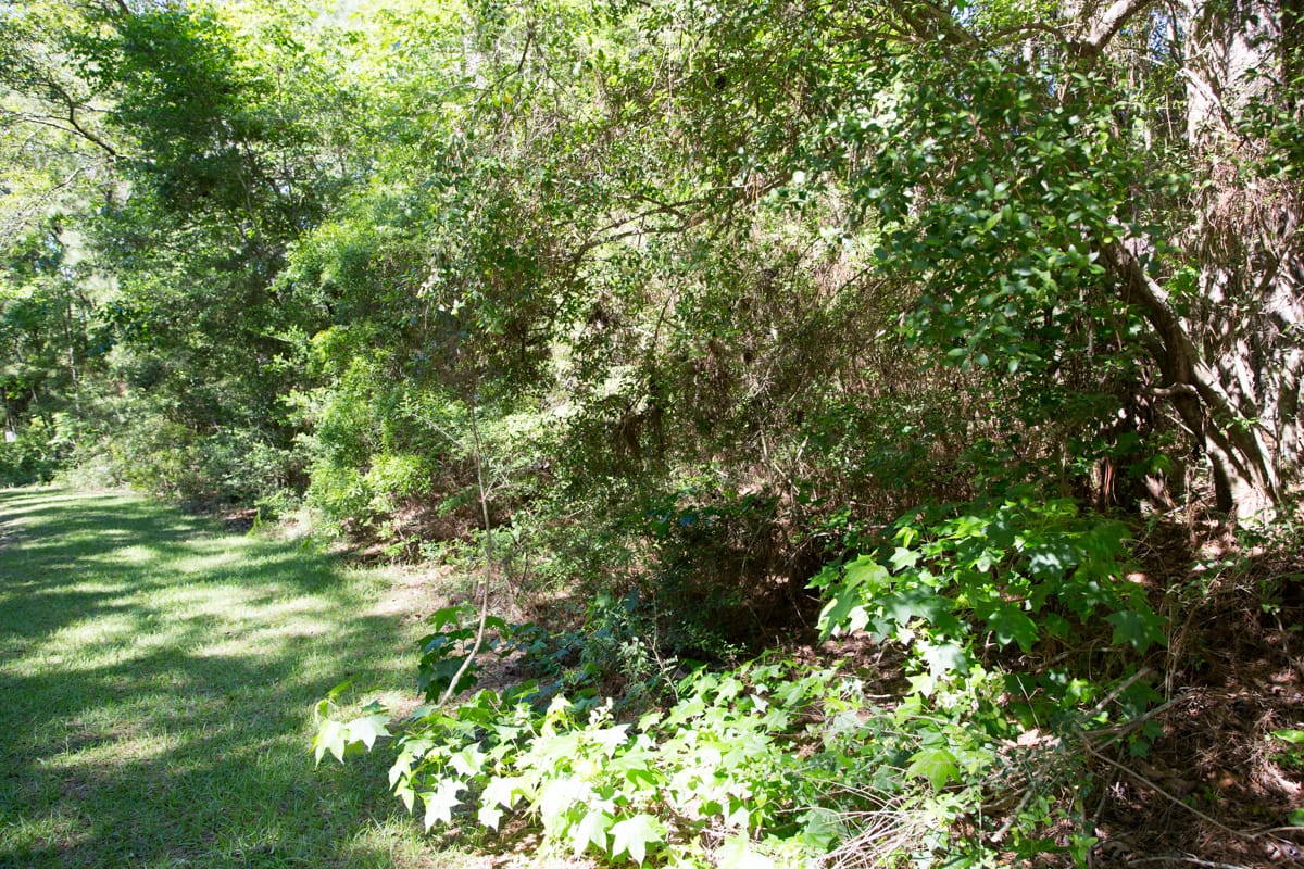 Rayburn Country Tract 167 photo 13