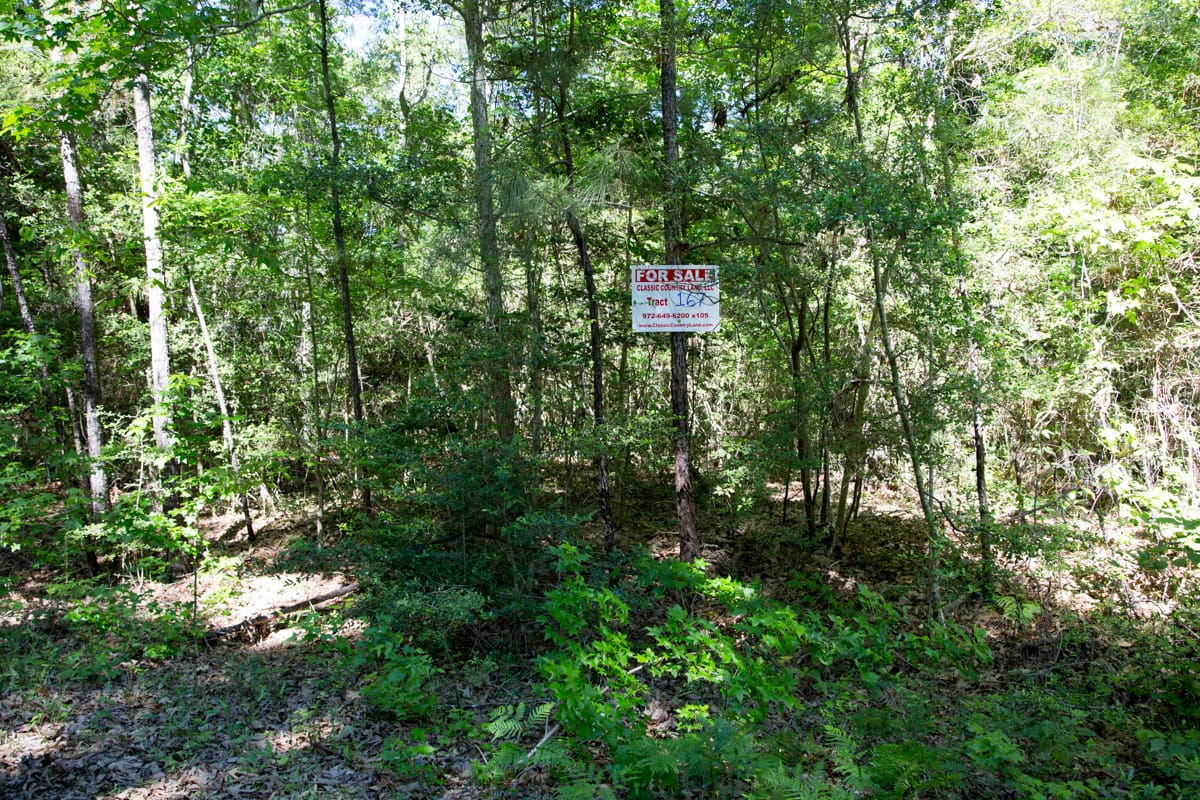 Rayburn Country Tract 167 photo 14