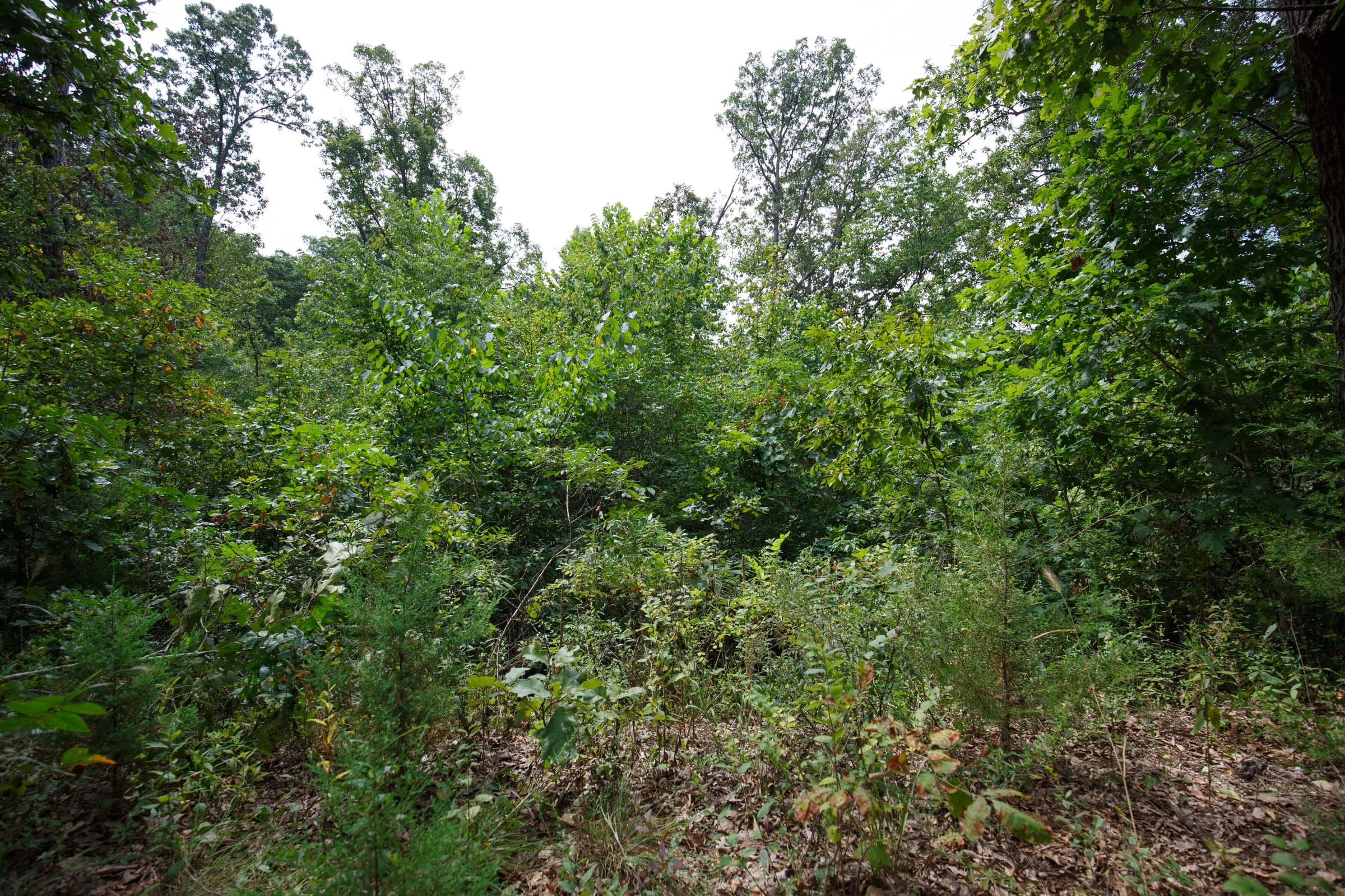 Spring Lake Plat 5 Tract 341 photo 3