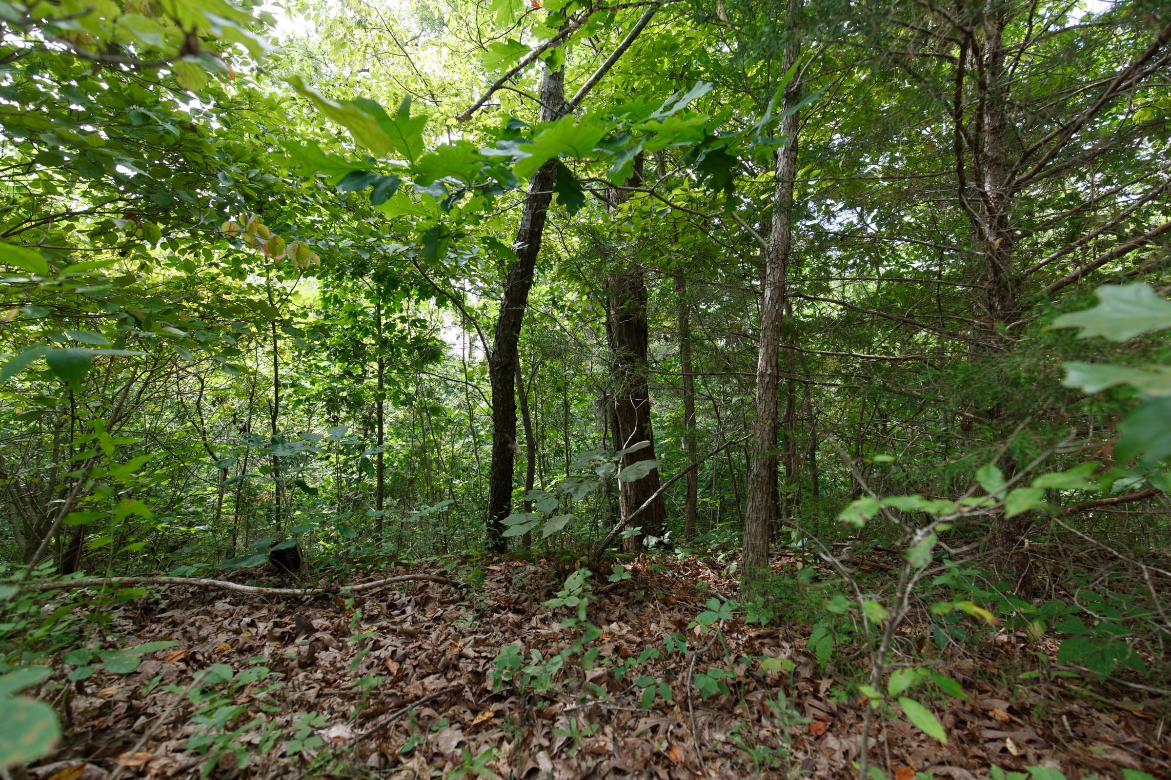 Spring Lake Plat 5 Tract 341 photo 1