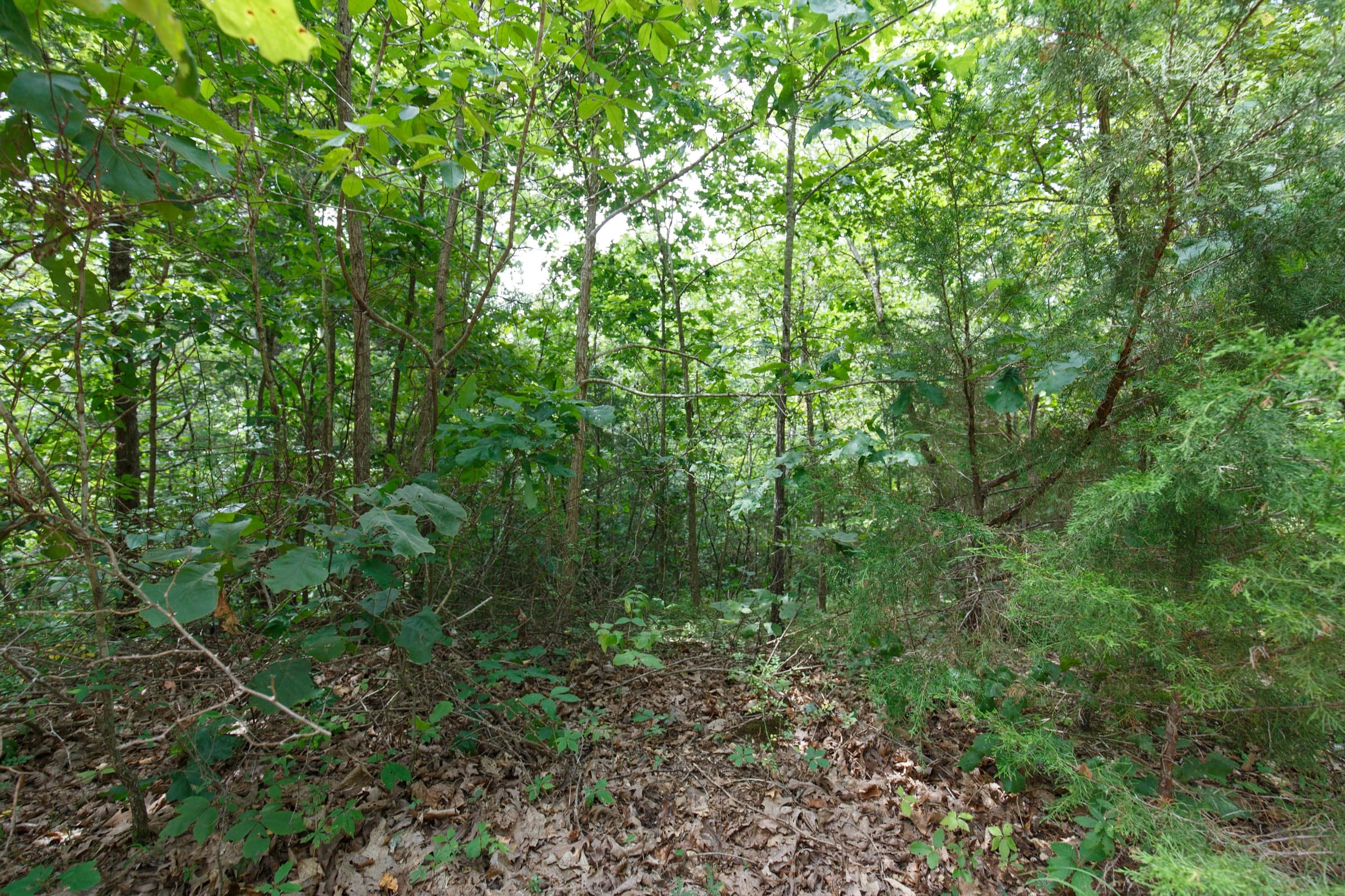 Spring Lake Plat 5 Tract 341 photo 5