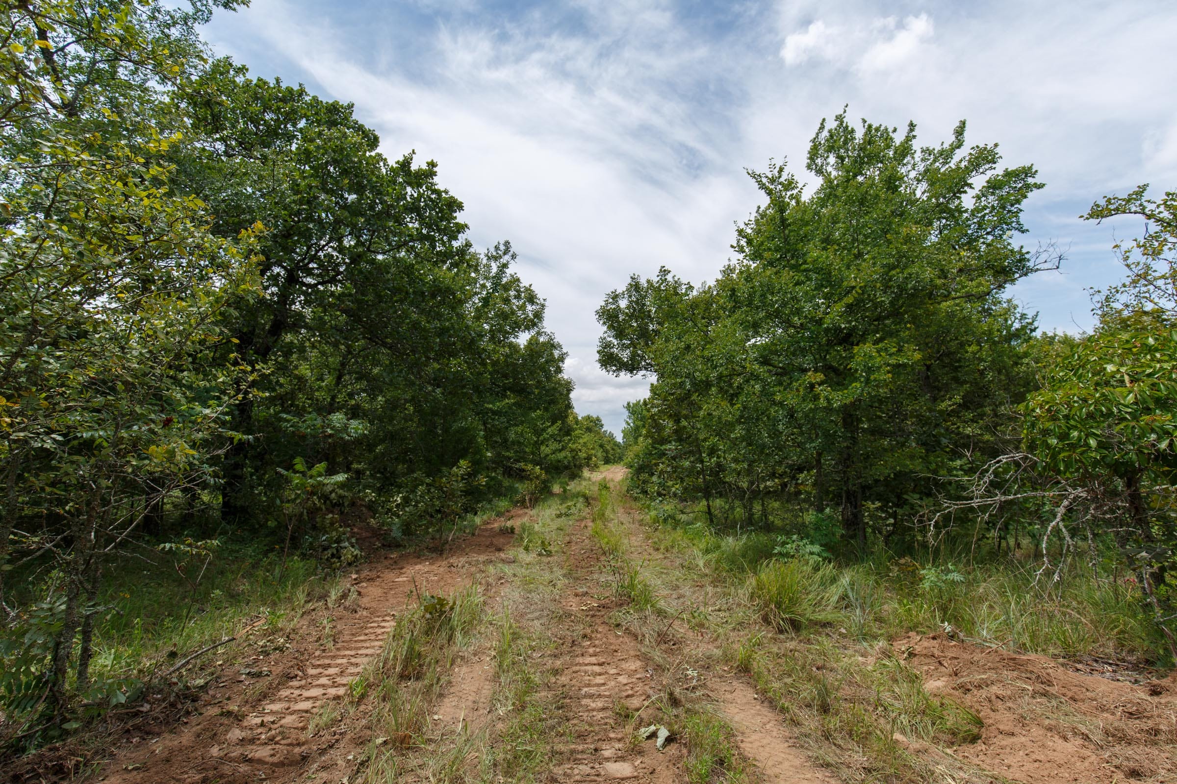 Timber Ridge Tract 20 photo 1