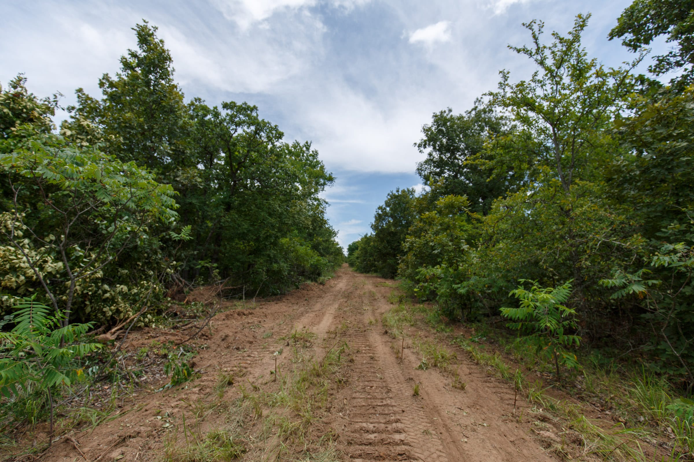 Timber Ridge Tract 20 photo 3