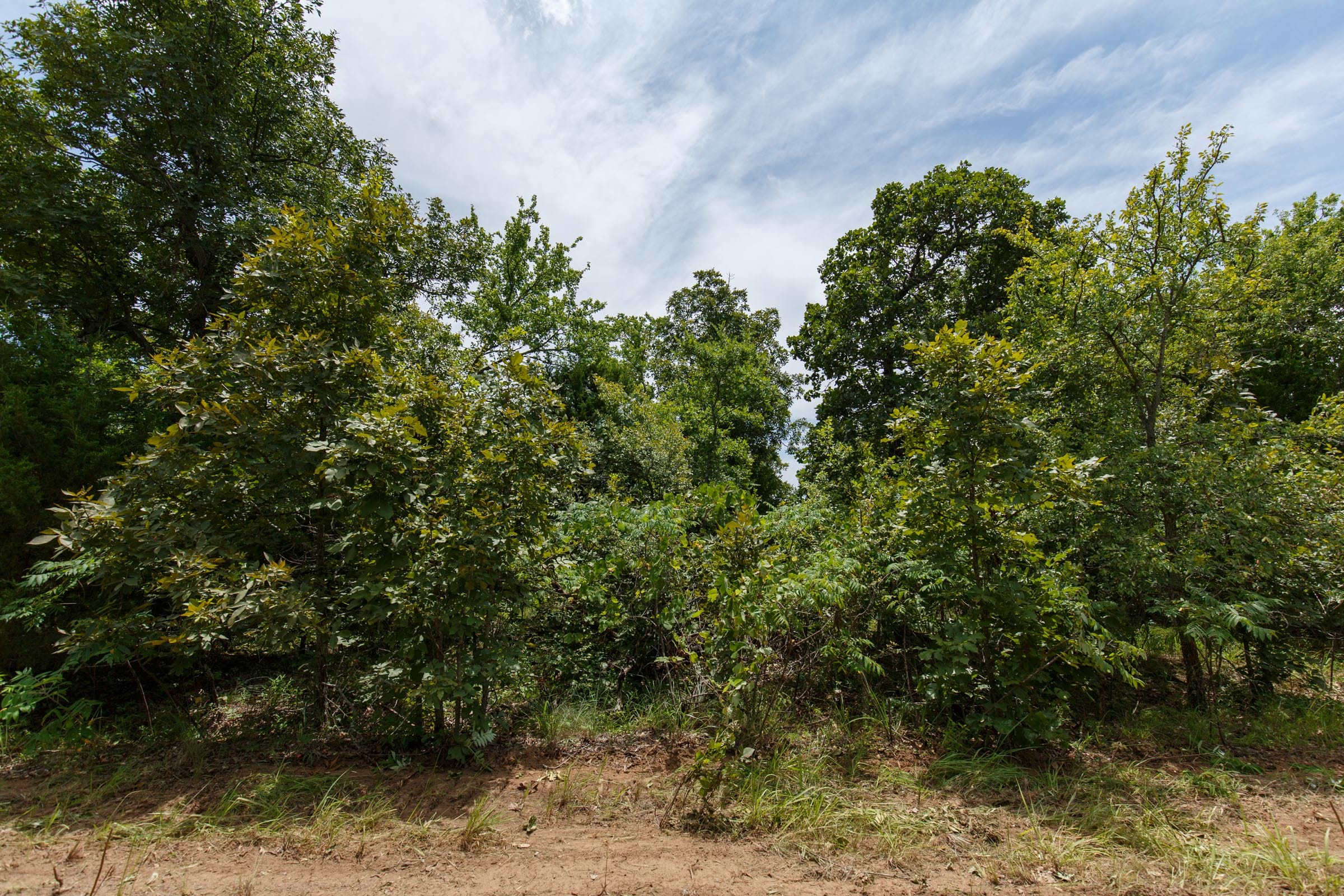 Timber Ridge Tract 20 photo 6