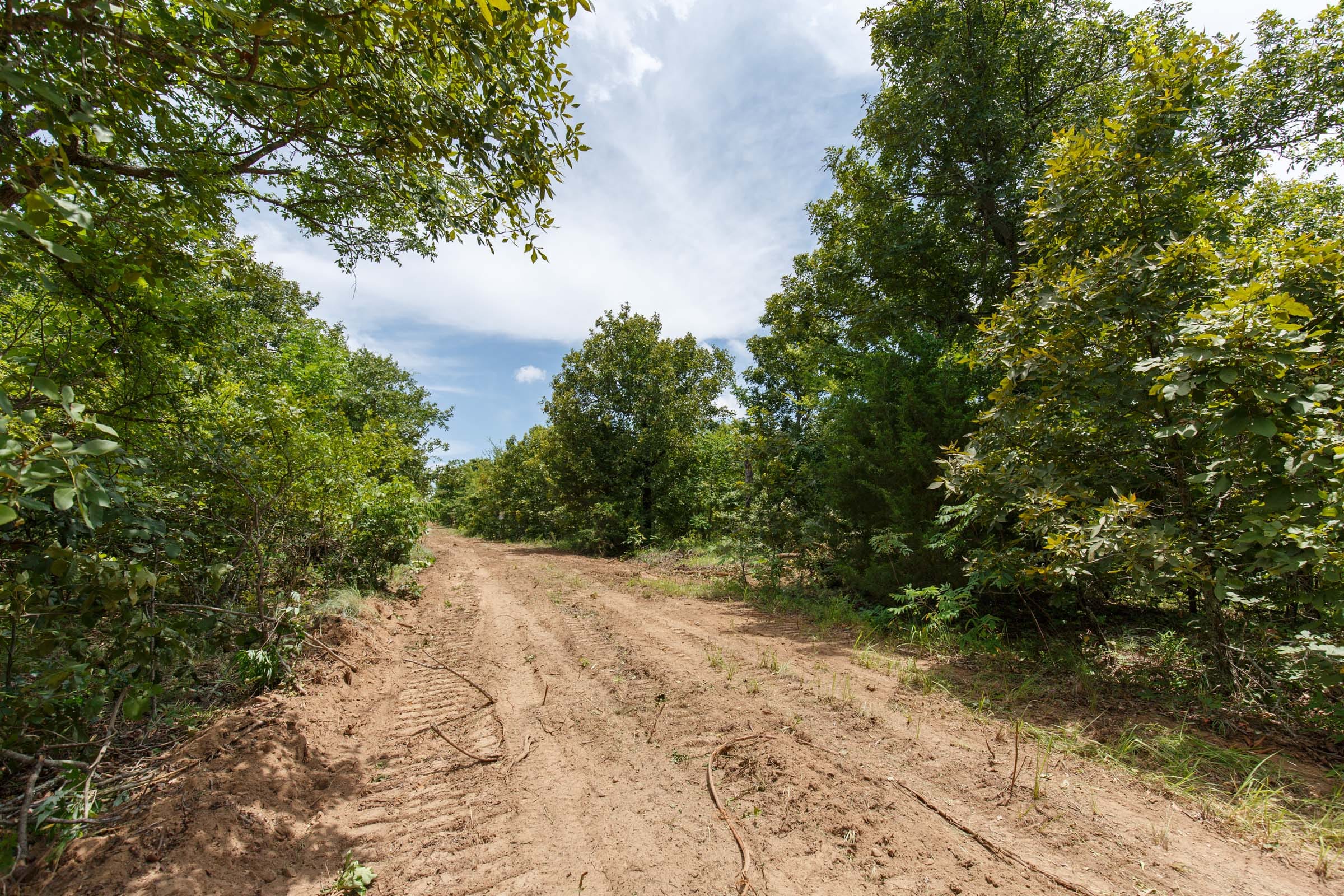 Timber Ridge Tract 20 photo 5