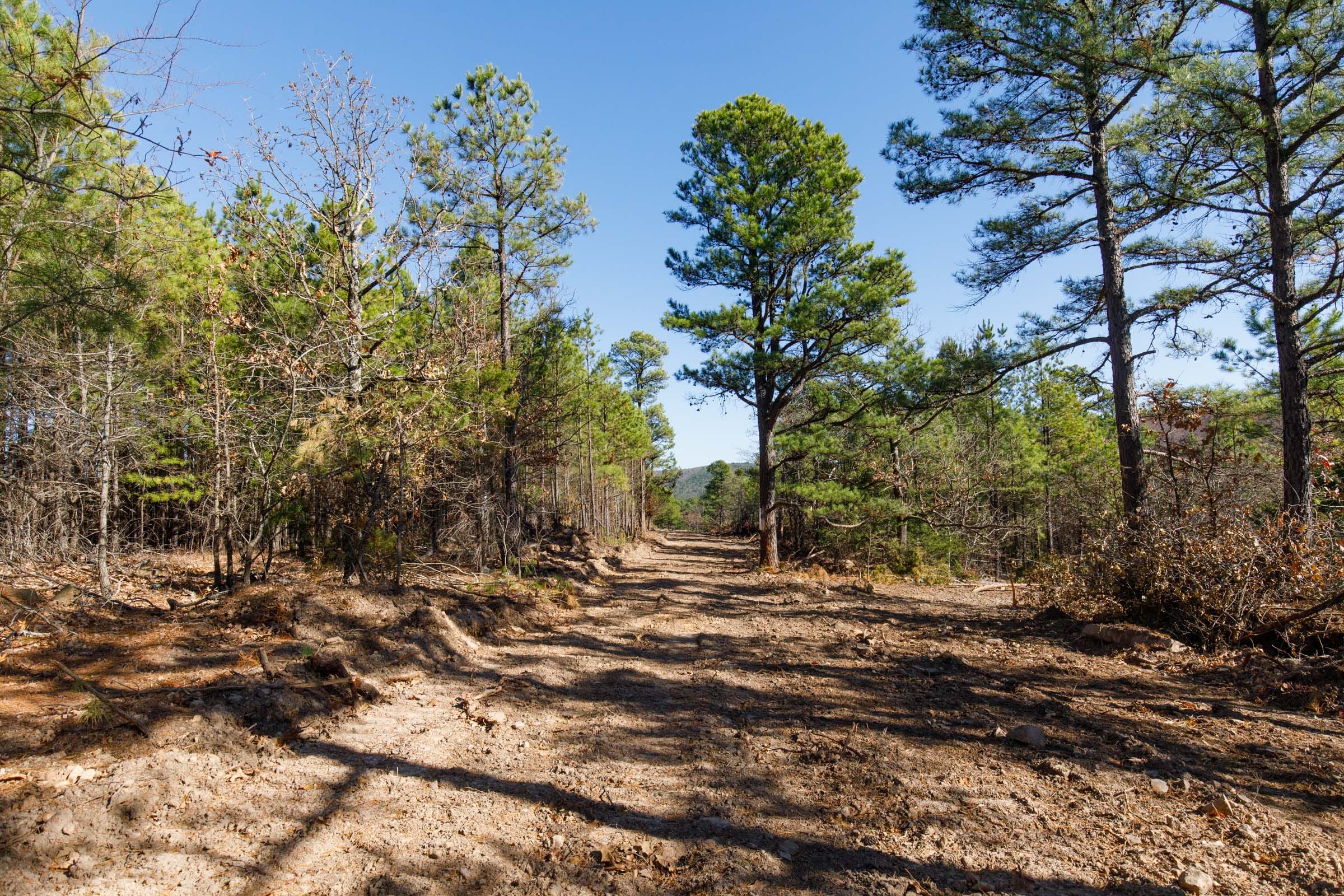 Stone Bridge Phase II Tract 94 photo 1