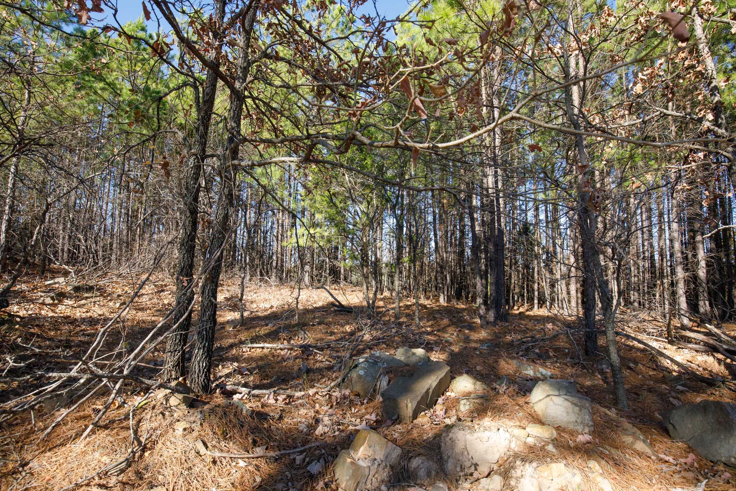 Stone Bridge Phase II Tract 94 photo 3