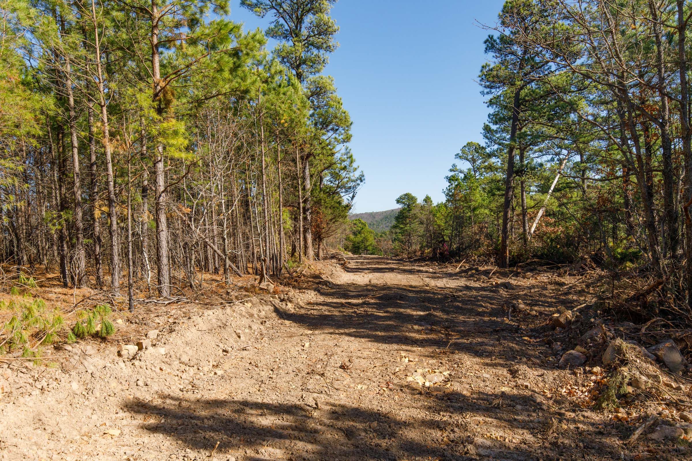 Stone Bridge Phase II Tract 94 photo 4