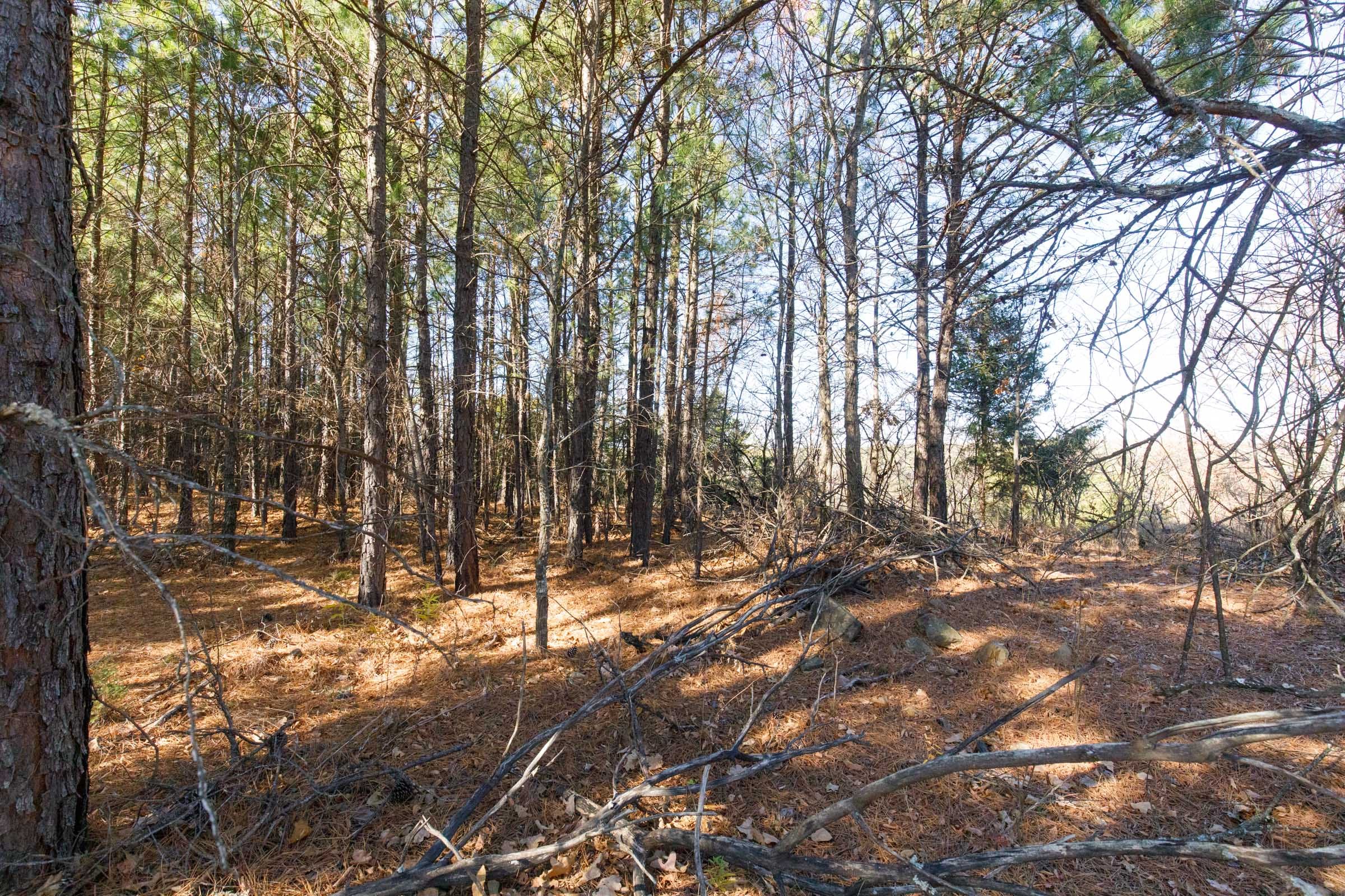 Stone Bridge Phase II Tract 94 photo 6