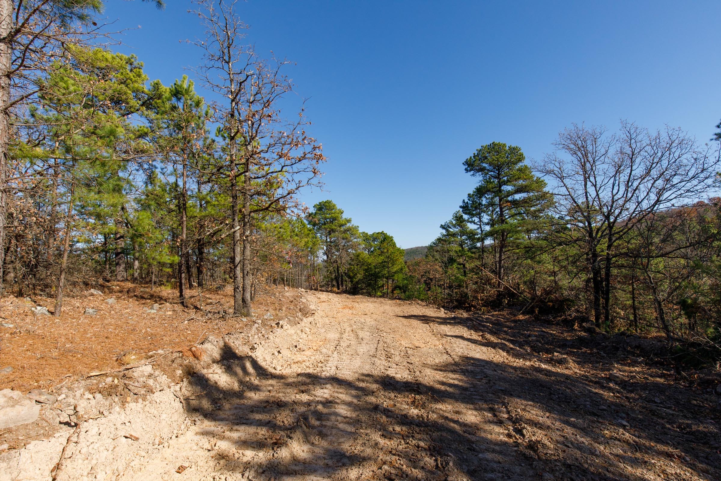 Stone Bridge Phase II Tract 94 photo 7