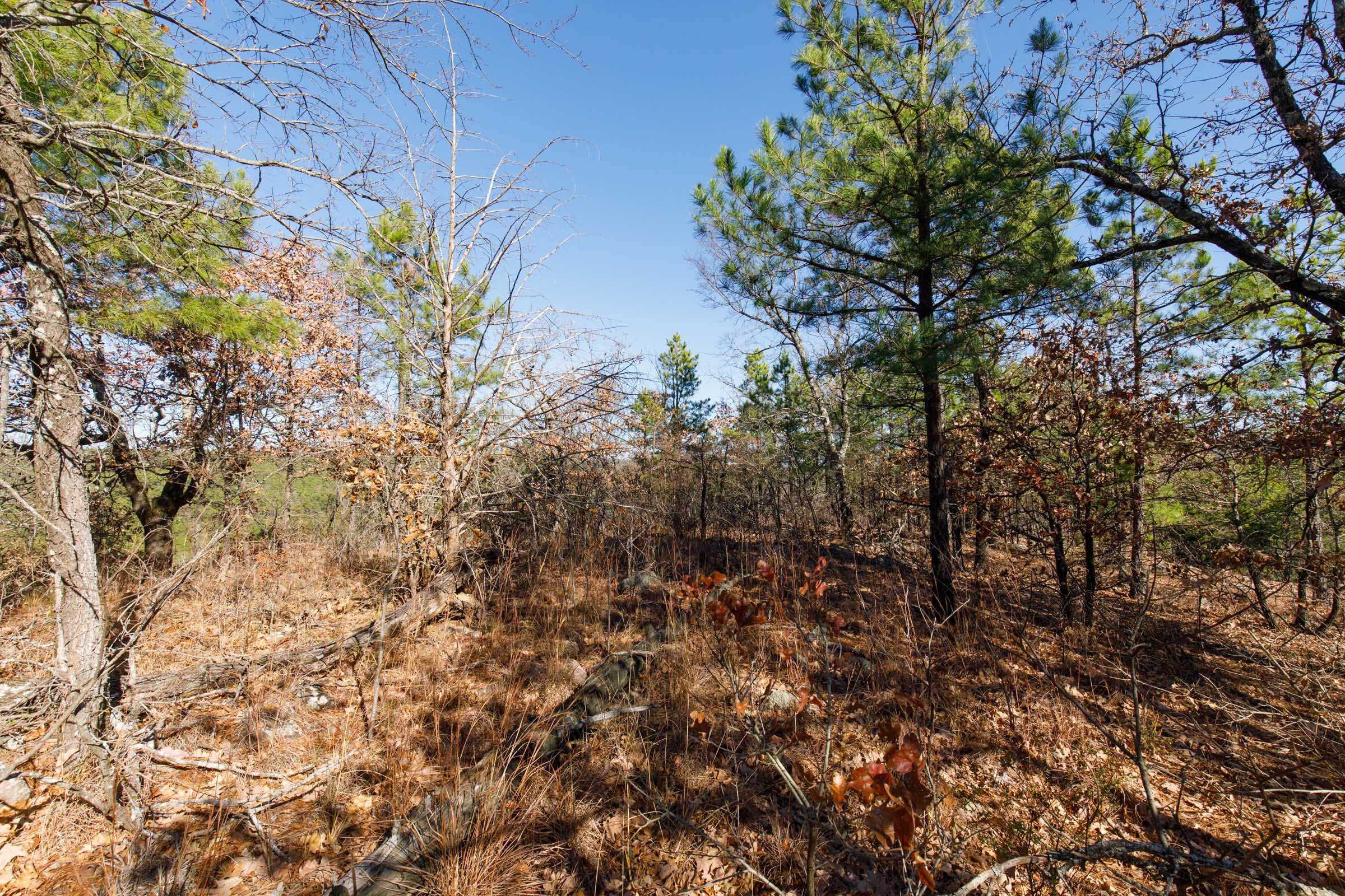Stone Bridge Phase II Tract 94 photo 10