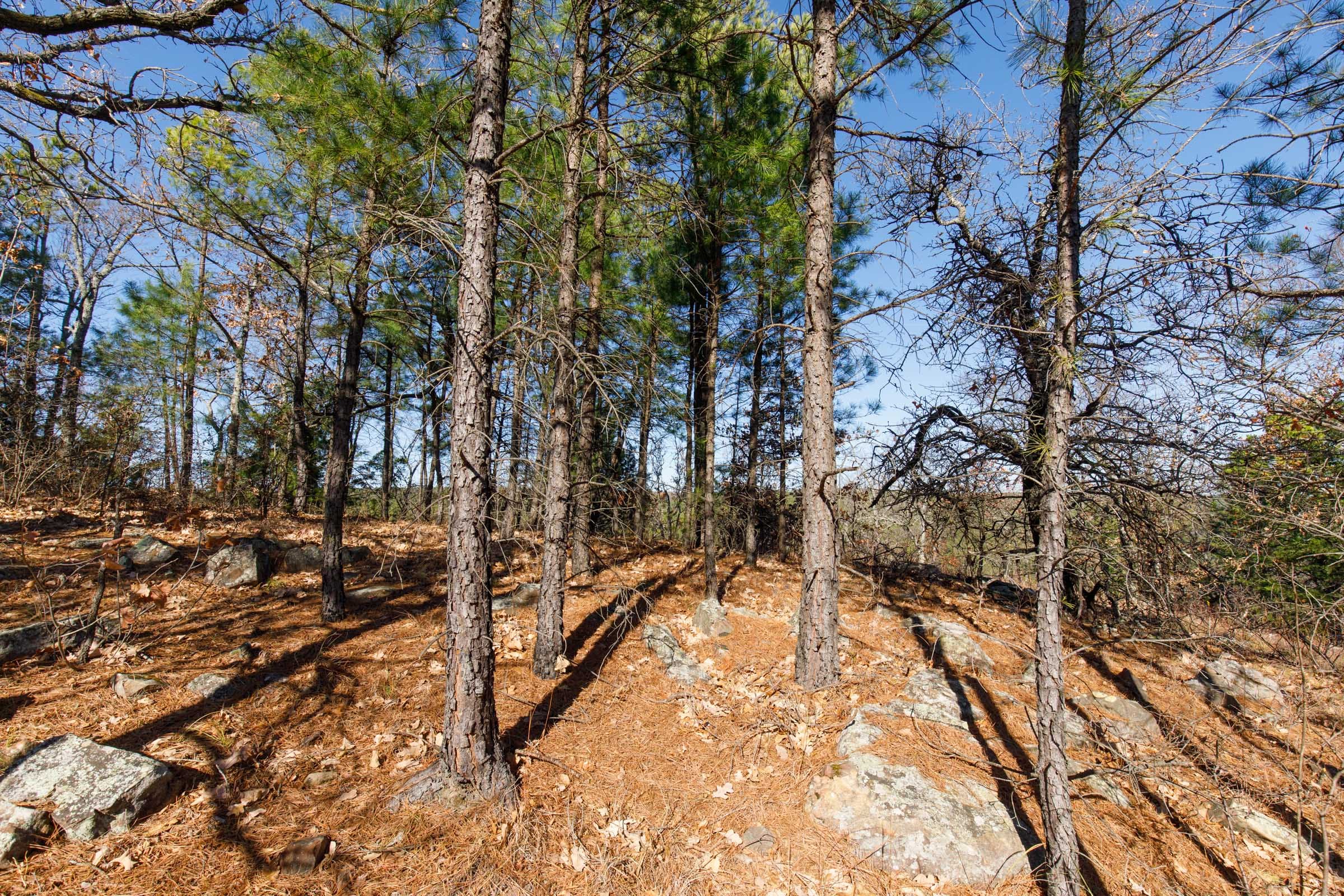 Stone Bridge Phase II Tract 94 photo 11