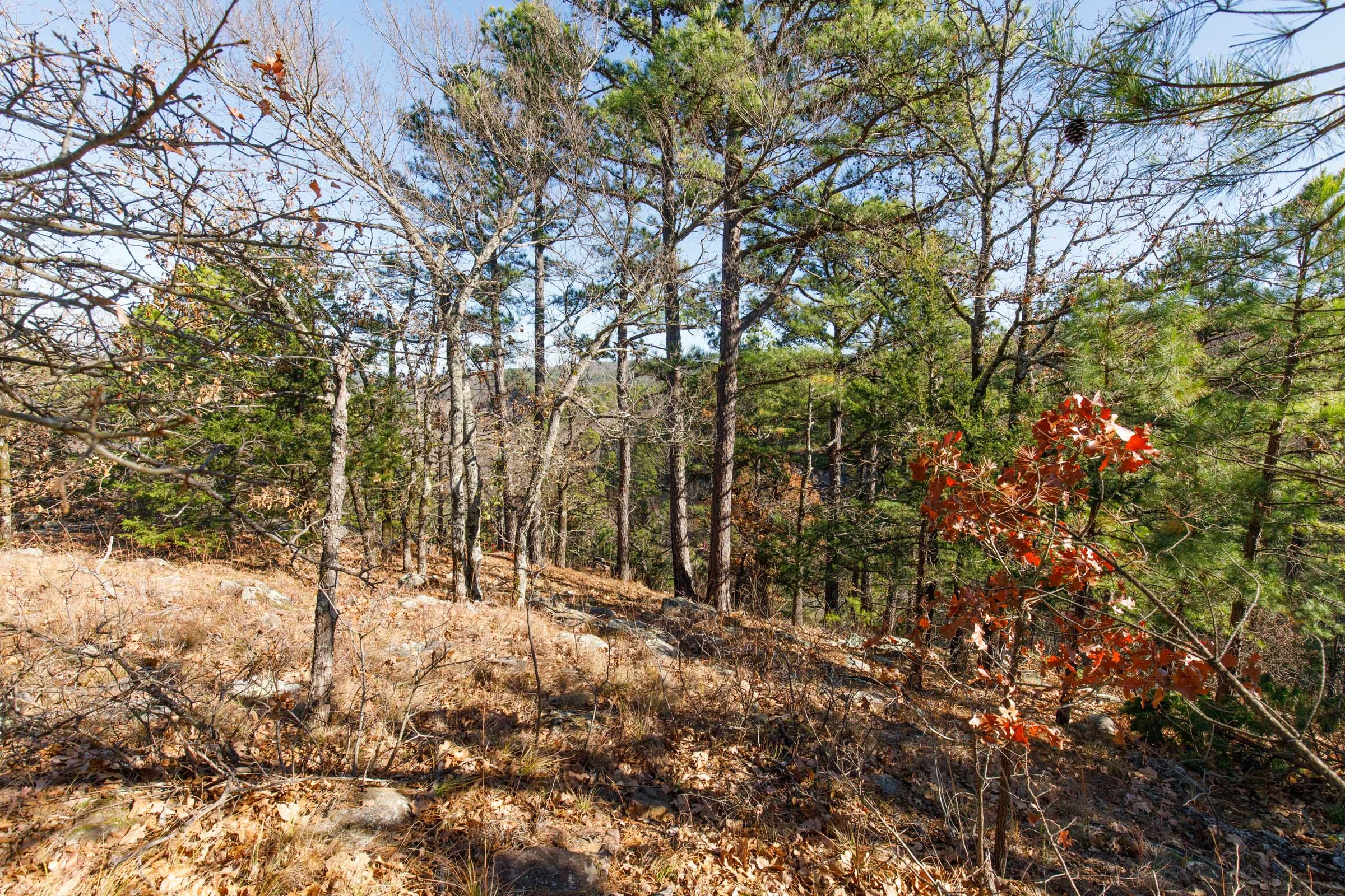 Stone Bridge Phase II Tract 94 photo 12