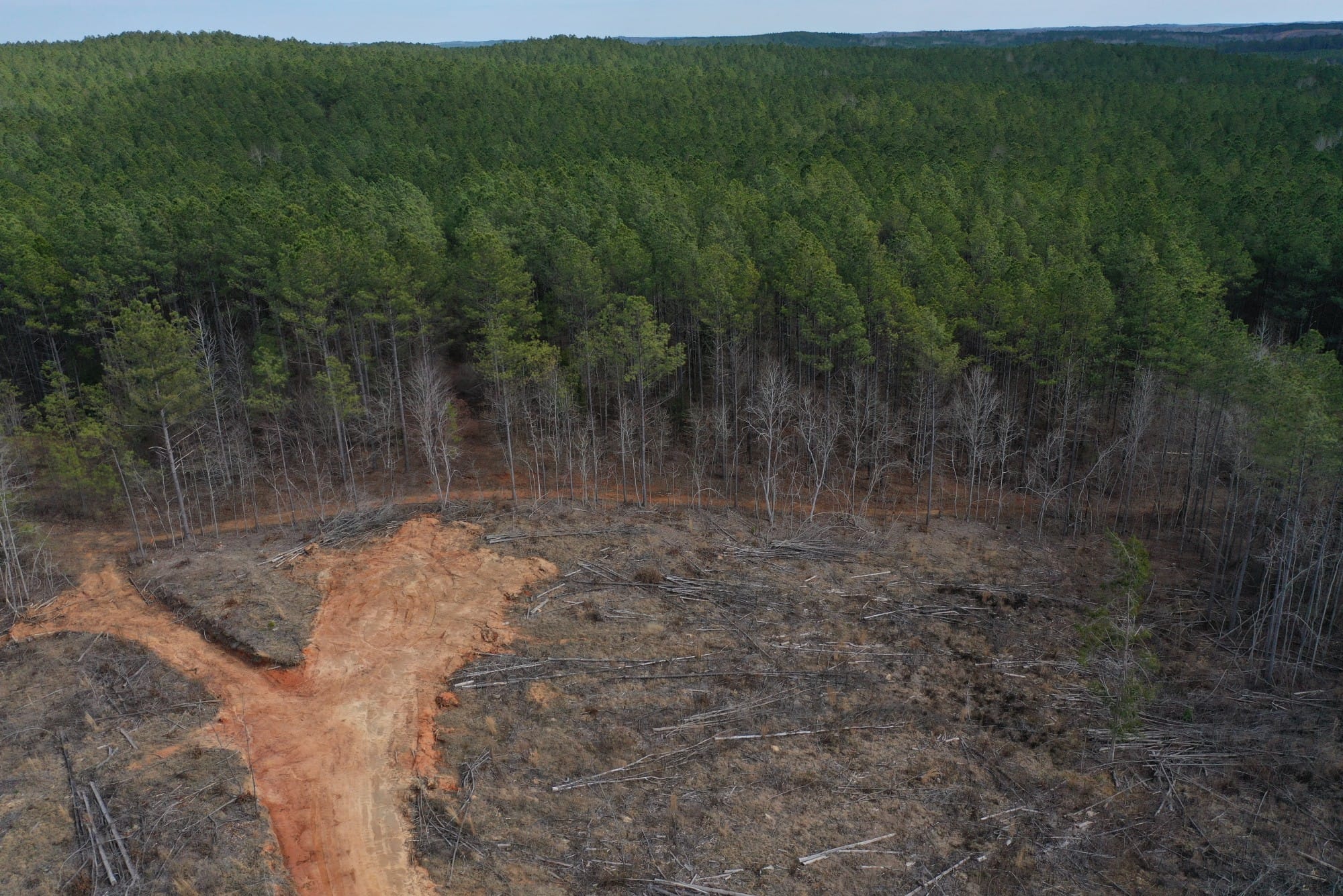 Fairview Hills Tract 11 photo 1