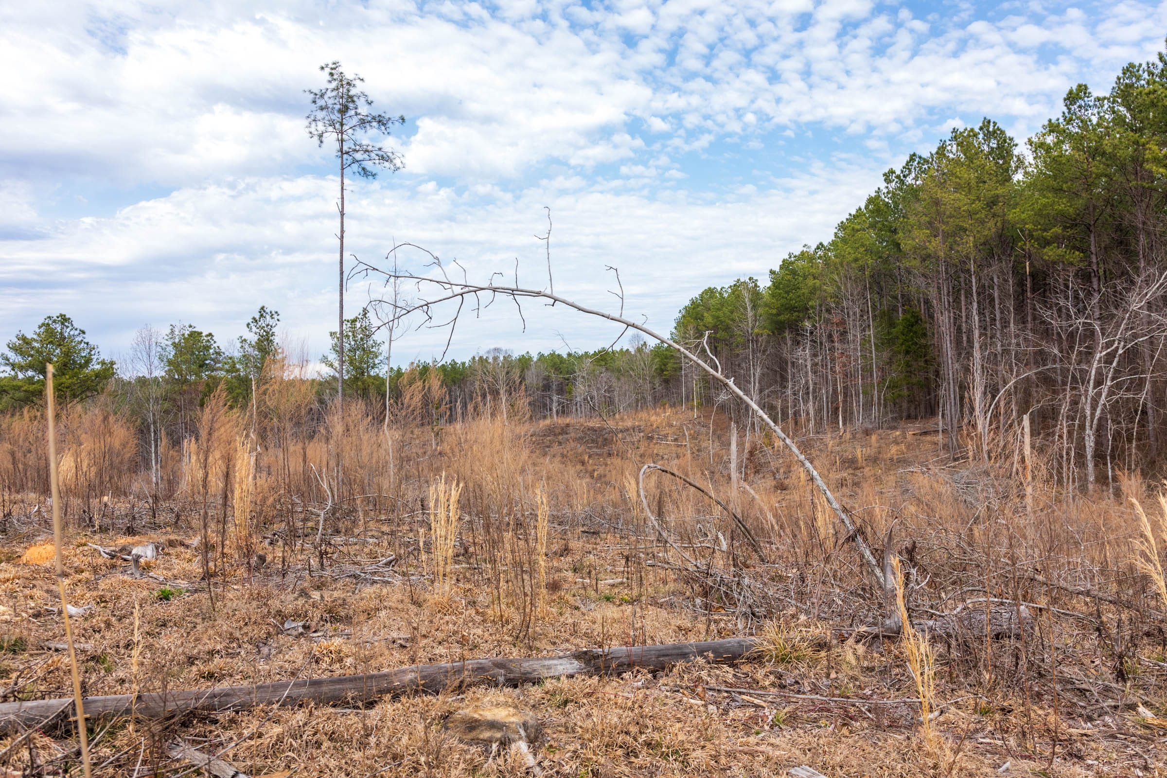 Fairview Hills Tract 11 photo 4