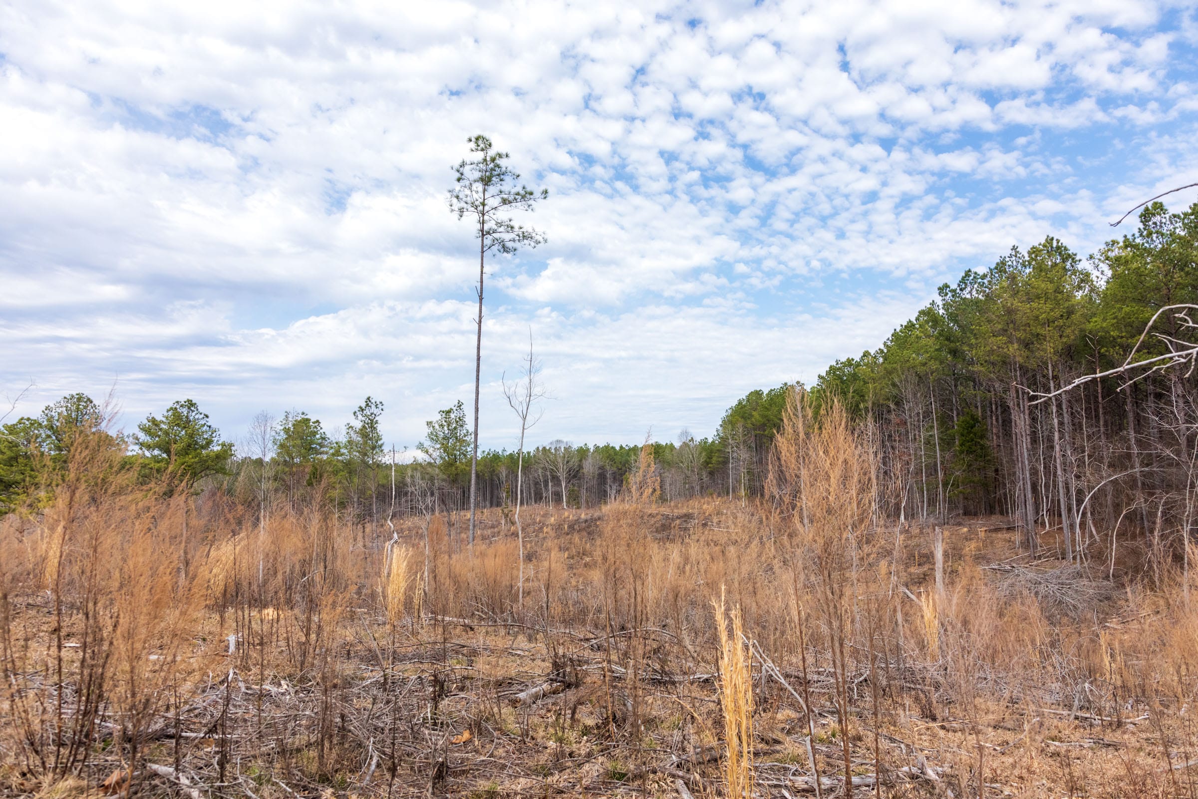 Fairview Hills Tract 11 photo 6