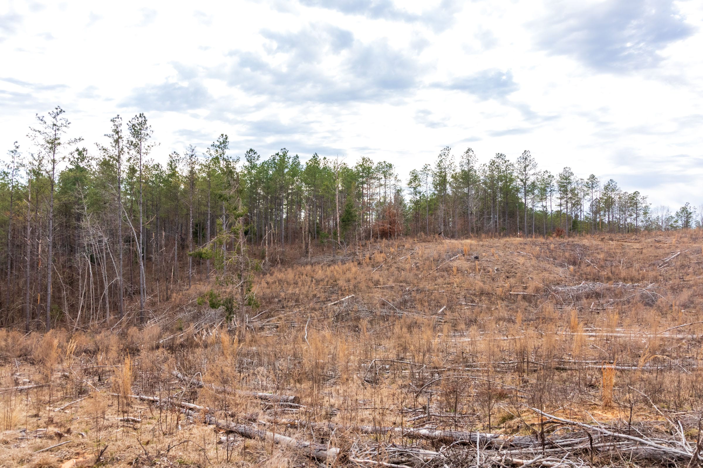 Fairview Hills Tract 11 photo 9