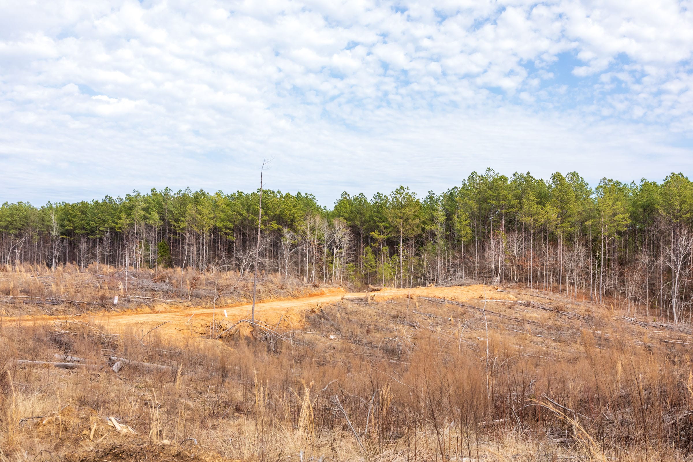 Fairview Hills Tract 11 photo 14